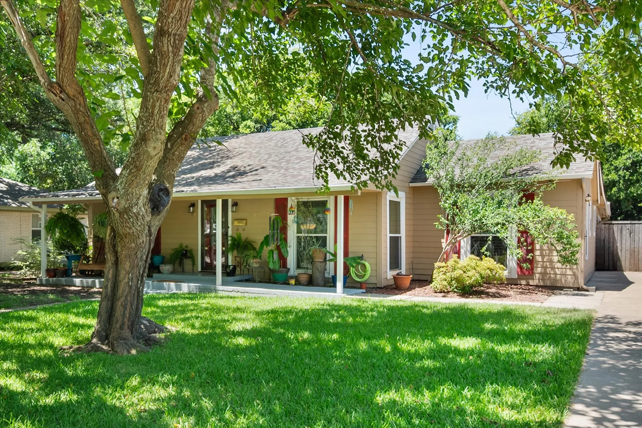 Front yard