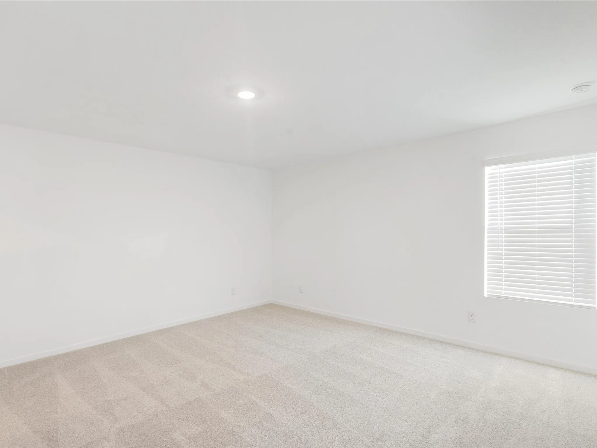 Single Family Residence For Rent in Collin County , 1621 Baugh Street, Mc Kinney, Texas 75071, 4 Bedroom, 2 Bathroom, 2 Garage spaces, 1,707 Sqft, built in 2025, mls#21329106, Real Estate Agent in Mc Kinney, Homes For Rent in Collin county, Homes For Rent in Mc Kinney, Realtor in Mc Kinney Texas, Real Estate Brokerage Independent Realty Texas, Luminita Cordes Realtor