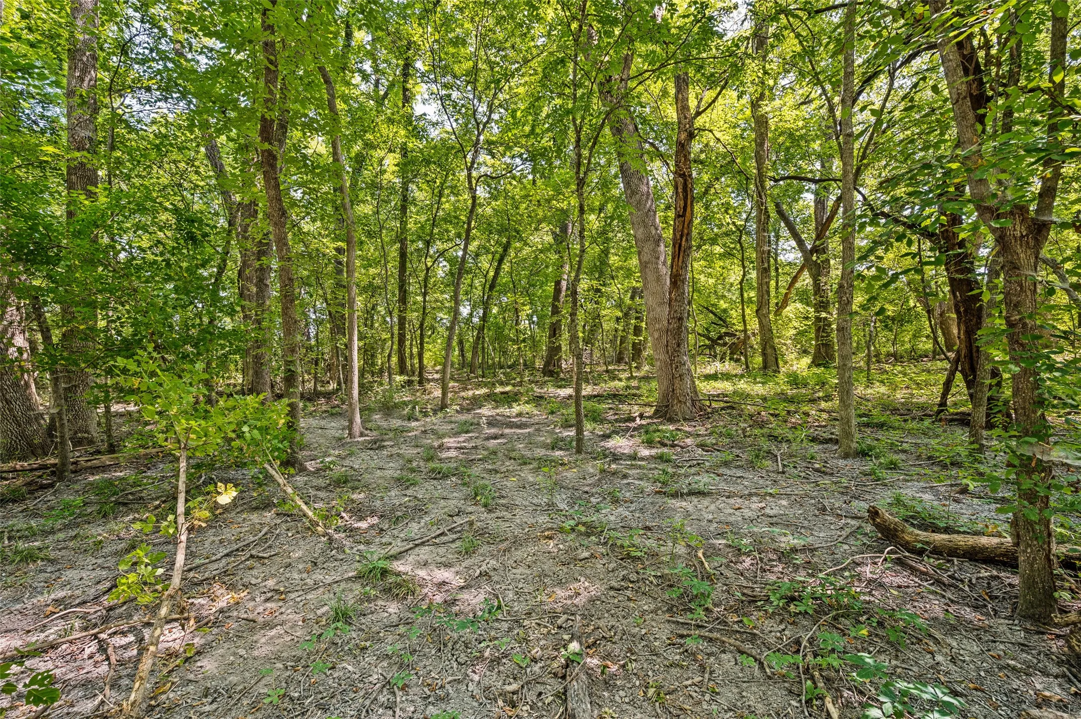 Single Family Residence For Sale in Grayson County , 555 Yowell Hill Road, Tom Bean, Texas 75491, 1 Bedroom, 2 Bathroom, Garage spaces, 985 Sqft, built in 2020, mls#21329109, Real Estate Agent in Tom Bean, Homes For Sale in Grayson county, Homes For Sale in Tom Bean, Realtor in Tom Bean Texas, Real Estate Brokerage Independent Realty Texas, Luminita Cordes Realtor