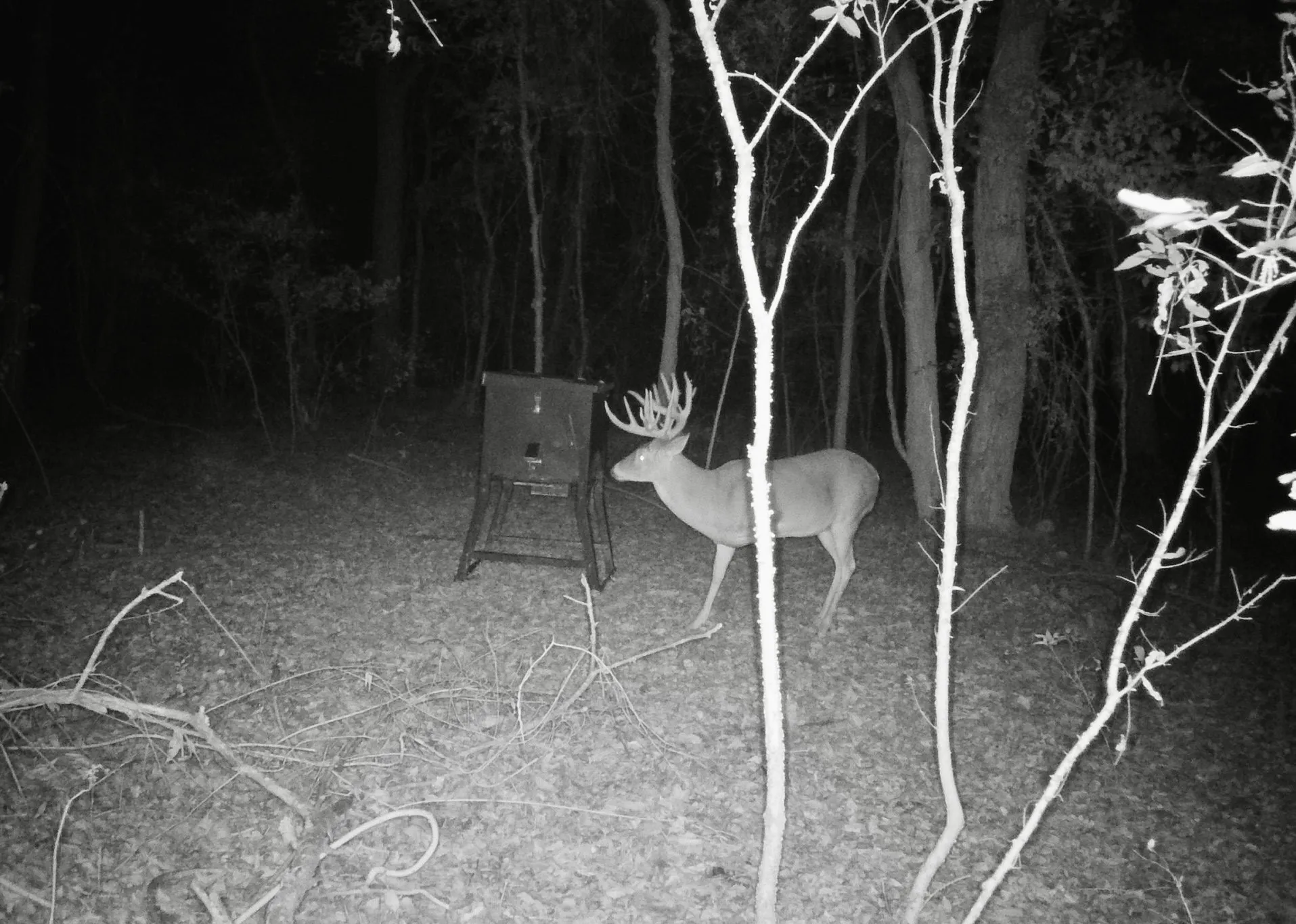 Single Family Residence For Sale in Grayson County , 555 Yowell Hill Road, Tom Bean, Texas 75491, 1 Bedroom, 2 Bathroom, Garage spaces, 985 Sqft, built in 2020, mls#21329109, Real Estate Agent in Tom Bean, Homes For Sale in Grayson county, Homes For Sale in Tom Bean, Realtor in Tom Bean Texas, Real Estate Brokerage Independent Realty Texas, Luminita Cordes Realtor