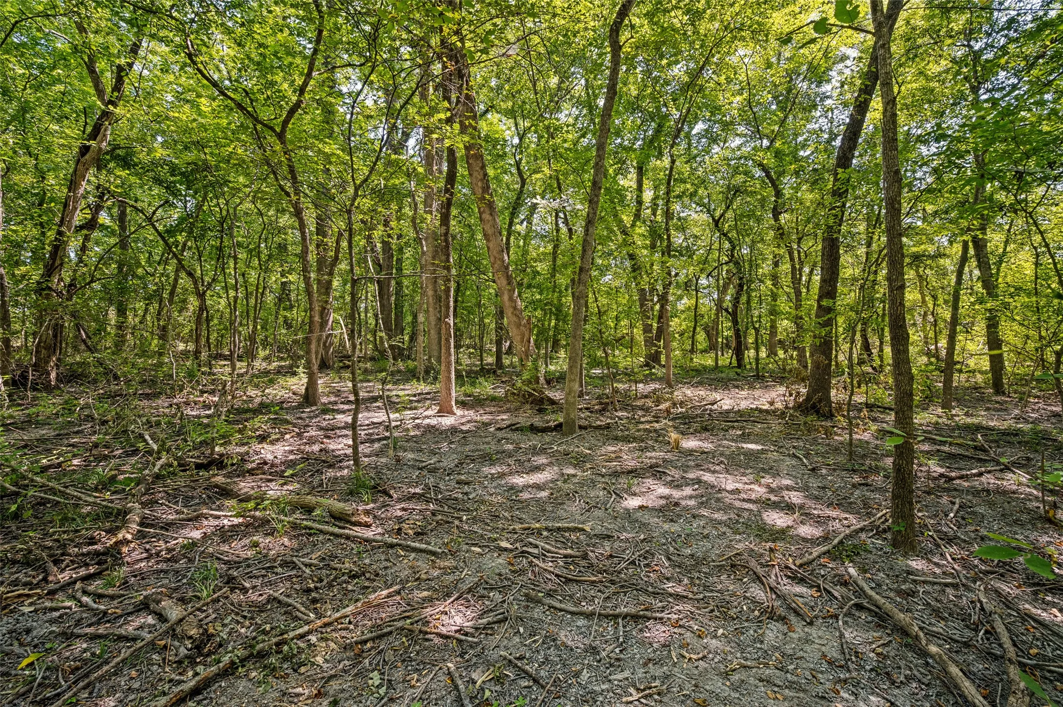 Single Family Residence For Sale in Grayson County , 555 Yowell Hill Road, Tom Bean, Texas 75491, 1 Bedroom, 2 Bathroom, Garage spaces, 985 Sqft, built in 2020, mls#21329109, Real Estate Agent in Tom Bean, Homes For Sale in Grayson county, Homes For Sale in Tom Bean, Realtor in Tom Bean Texas, Real Estate Brokerage Independent Realty Texas, Luminita Cordes Realtor