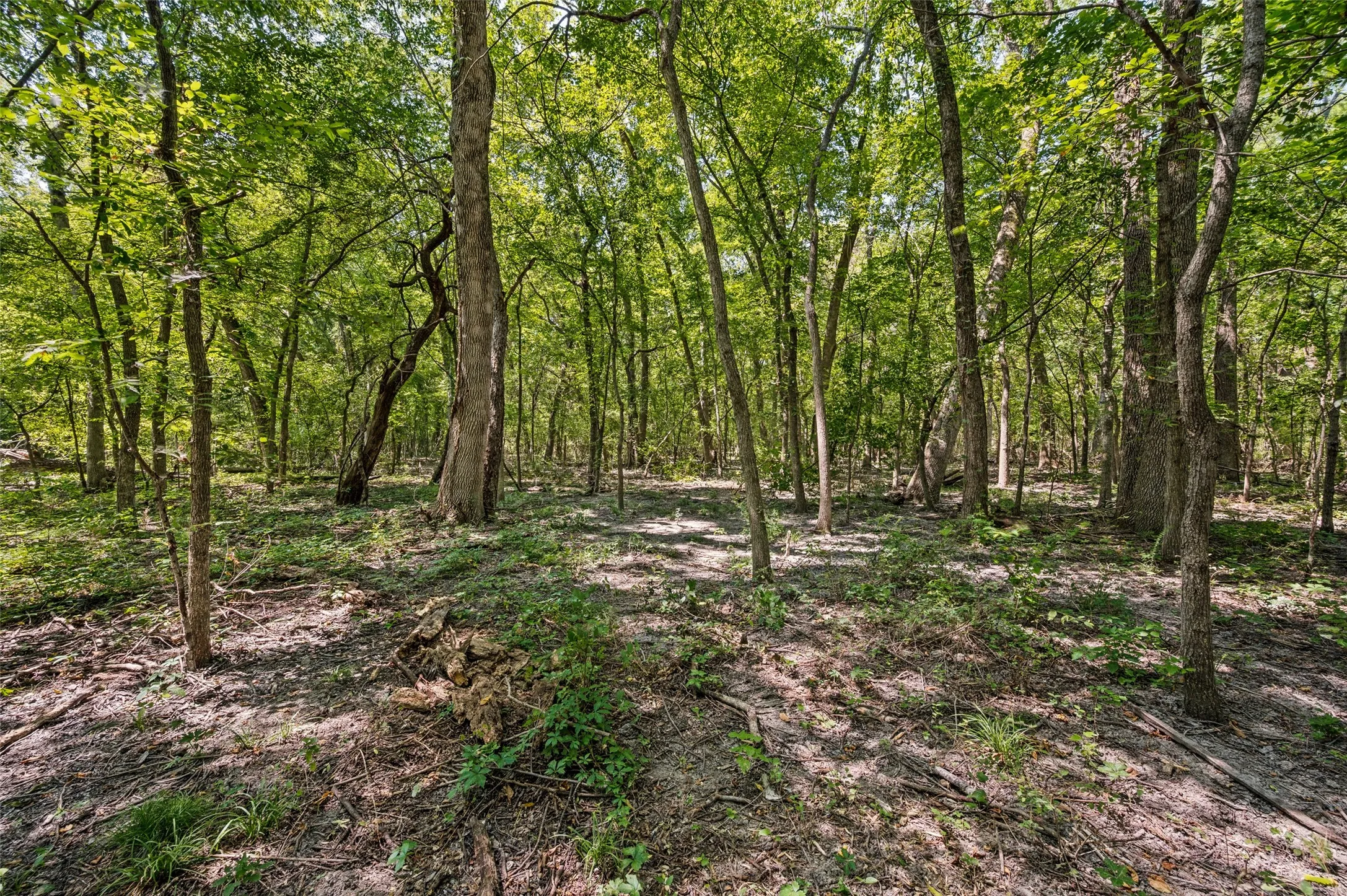 Single Family Residence For Sale in Grayson County , 555 Yowell Hill Road, Tom Bean, Texas 75491, 1 Bedroom, 2 Bathroom, Garage spaces, 985 Sqft, built in 2020, mls#21329109, Real Estate Agent in Tom Bean, Homes For Sale in Grayson county, Homes For Sale in Tom Bean, Realtor in Tom Bean Texas, Real Estate Brokerage Independent Realty Texas, Luminita Cordes Realtor