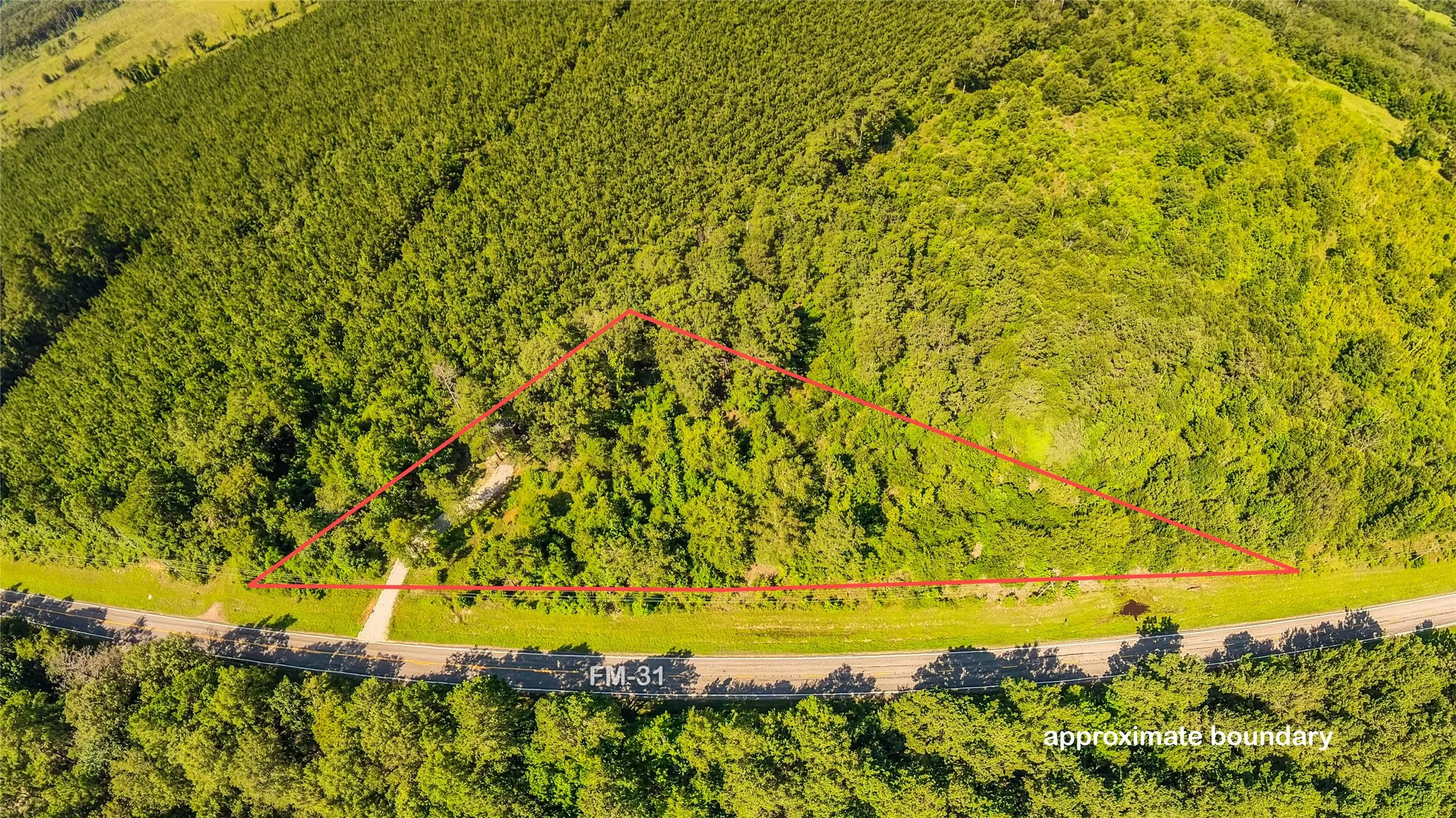Improved Land For Sale in Panola County , 6572 S FM 31, Carthage, Texas 75633, 0, 0, Garage spaces, 0 Sqft, built in 2026, mls#21329136, Real Estate Agent in Carthage, Homes For Sale in Panola county, Homes For Sale in Carthage, Realtor in Carthage Texas, Real Estate Brokerage Independent Realty Texas, Luminita Cordes Realtor