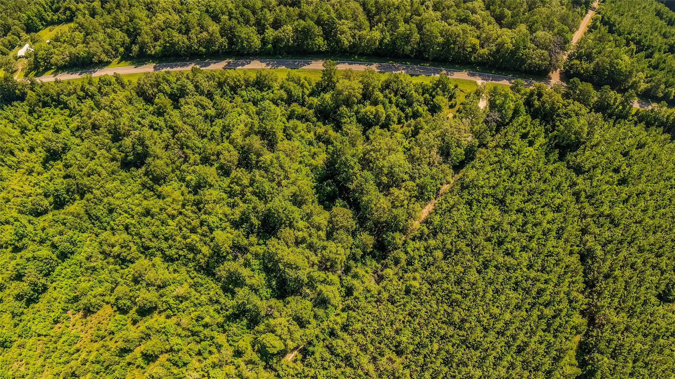 Improved Land For Sale in Panola County , 6572 S FM 31, Carthage, Texas 75633, 0, 0, Garage spaces, 0 Sqft, built in 2026, mls#21329136, Real Estate Agent in Carthage, Homes For Sale in Panola county, Homes For Sale in Carthage, Realtor in Carthage Texas, Real Estate Brokerage Independent Realty Texas, Luminita Cordes Realtor