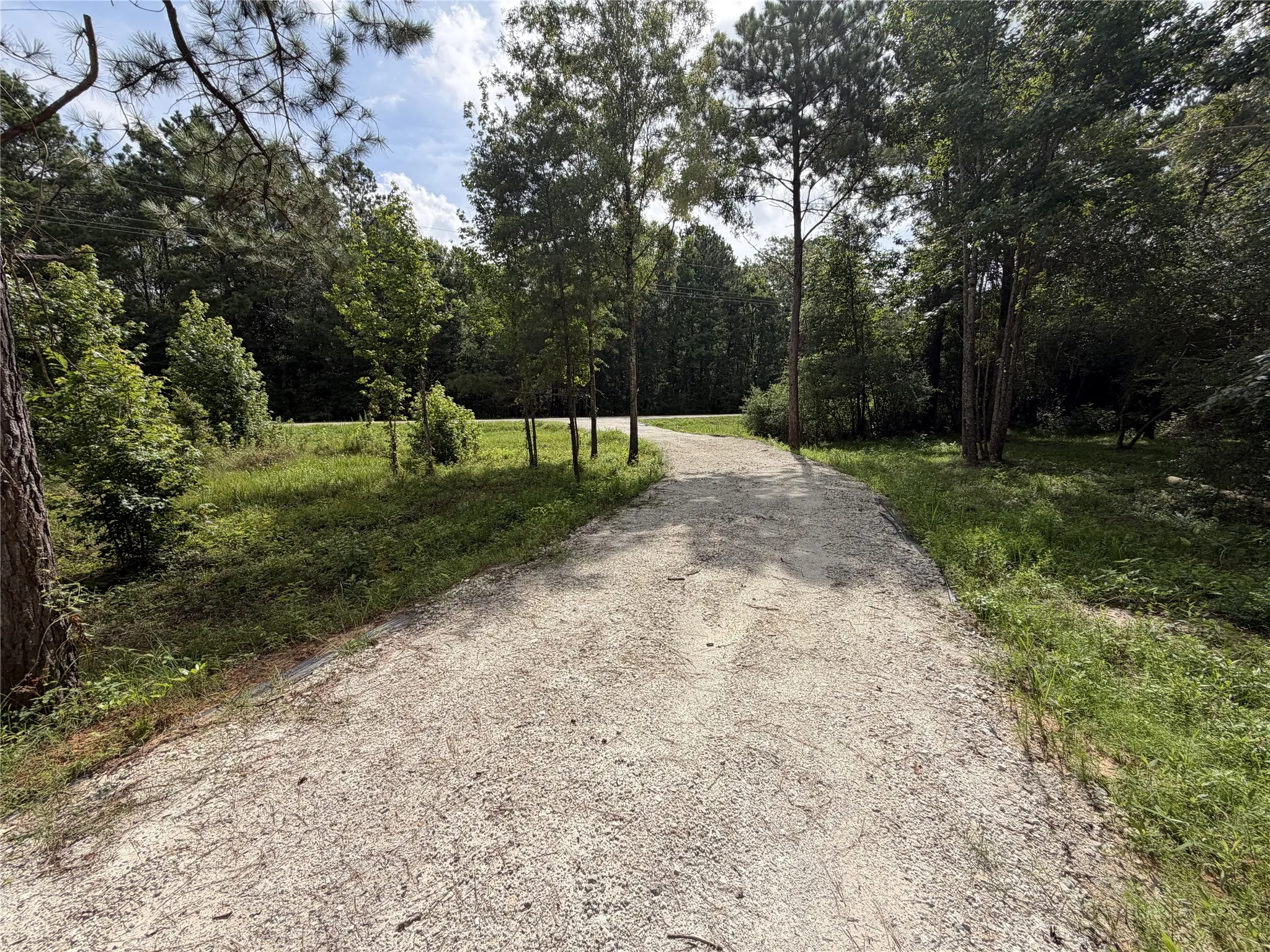 Improved Land For Sale in Panola County , 6572 S FM 31, Carthage, Texas 75633, 0, 0, Garage spaces, 0 Sqft, built in 2026, mls#21329136, Real Estate Agent in Carthage, Homes For Sale in Panola county, Homes For Sale in Carthage, Realtor in Carthage Texas, Real Estate Brokerage Independent Realty Texas, Luminita Cordes Realtor
