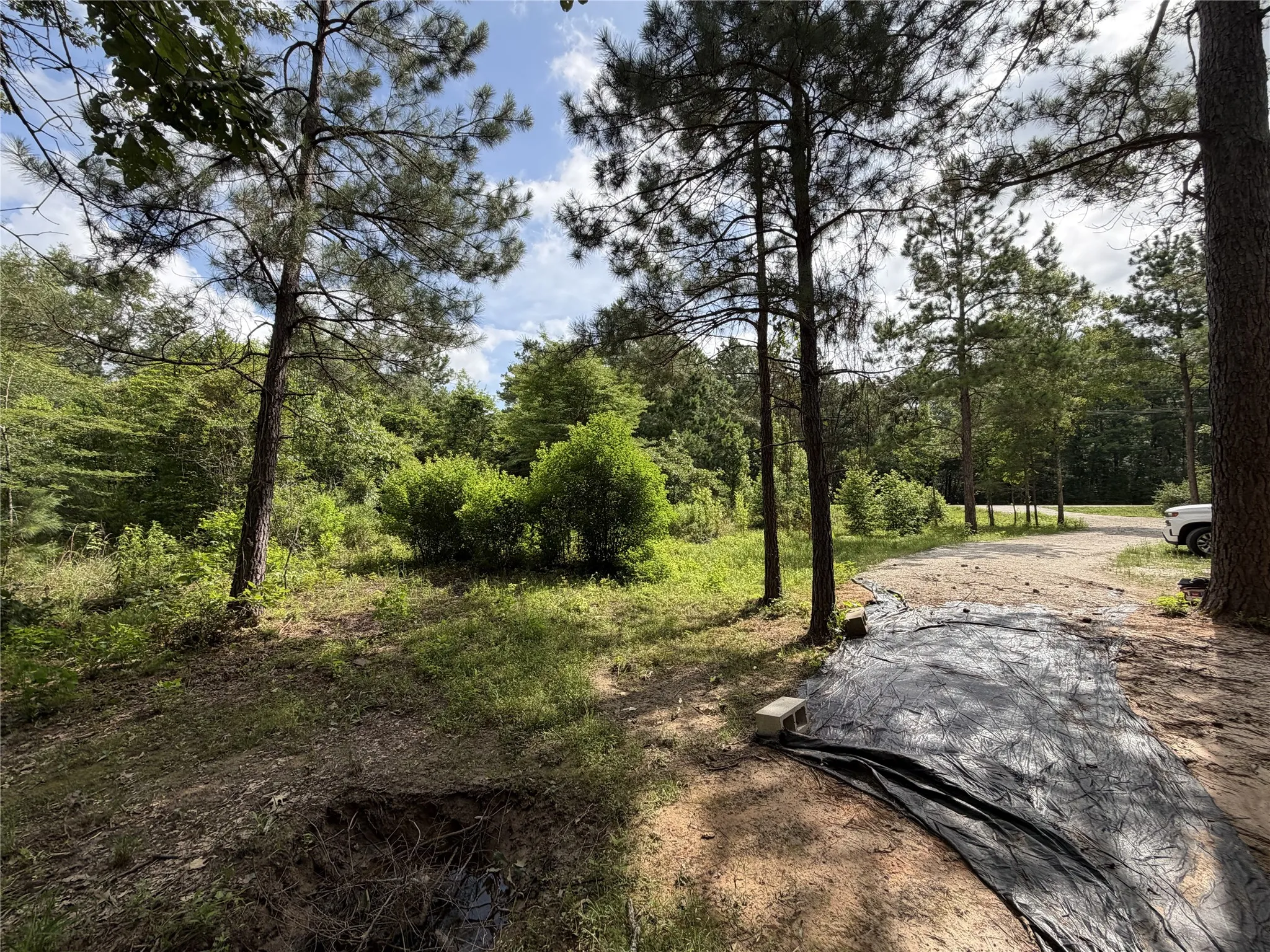 Improved Land For Sale in Panola County , 6572 S FM 31, Carthage, Texas 75633, 0, 0, Garage spaces, 0 Sqft, built in 2026, mls#21329136, Real Estate Agent in Carthage, Homes For Sale in Panola county, Homes For Sale in Carthage, Realtor in Carthage Texas, Real Estate Brokerage Independent Realty Texas, Luminita Cordes Realtor