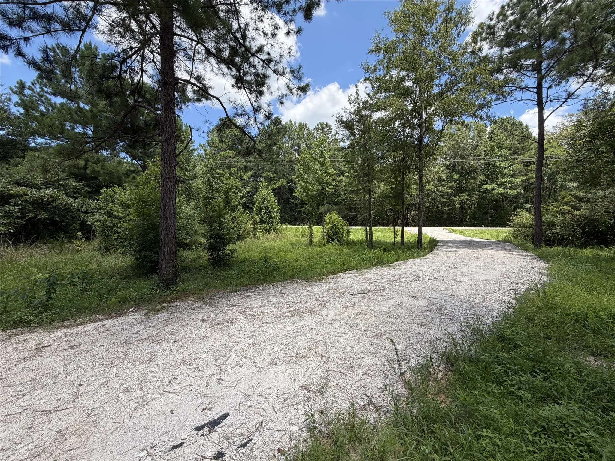 Improved Land For Sale in Panola County , 6572 S FM 31, Carthage, Texas 75633, 0, 0, Garage spaces, 0 Sqft, built in 2026, mls#21329136, Real Estate Agent in Carthage, Homes For Sale in Panola county, Homes For Sale in Carthage, Realtor in Carthage Texas, Real Estate Brokerage Independent Realty Texas, Luminita Cordes Realtor