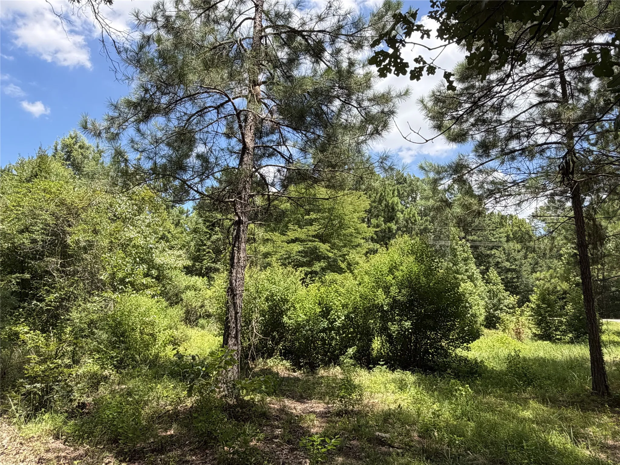 Improved Land For Sale in Panola County , 6572 S FM 31, Carthage, Texas 75633, 0, 0, Garage spaces, 0 Sqft, built in 2026, mls#21329136, Real Estate Agent in Carthage, Homes For Sale in Panola county, Homes For Sale in Carthage, Realtor in Carthage Texas, Real Estate Brokerage Independent Realty Texas, Luminita Cordes Realtor