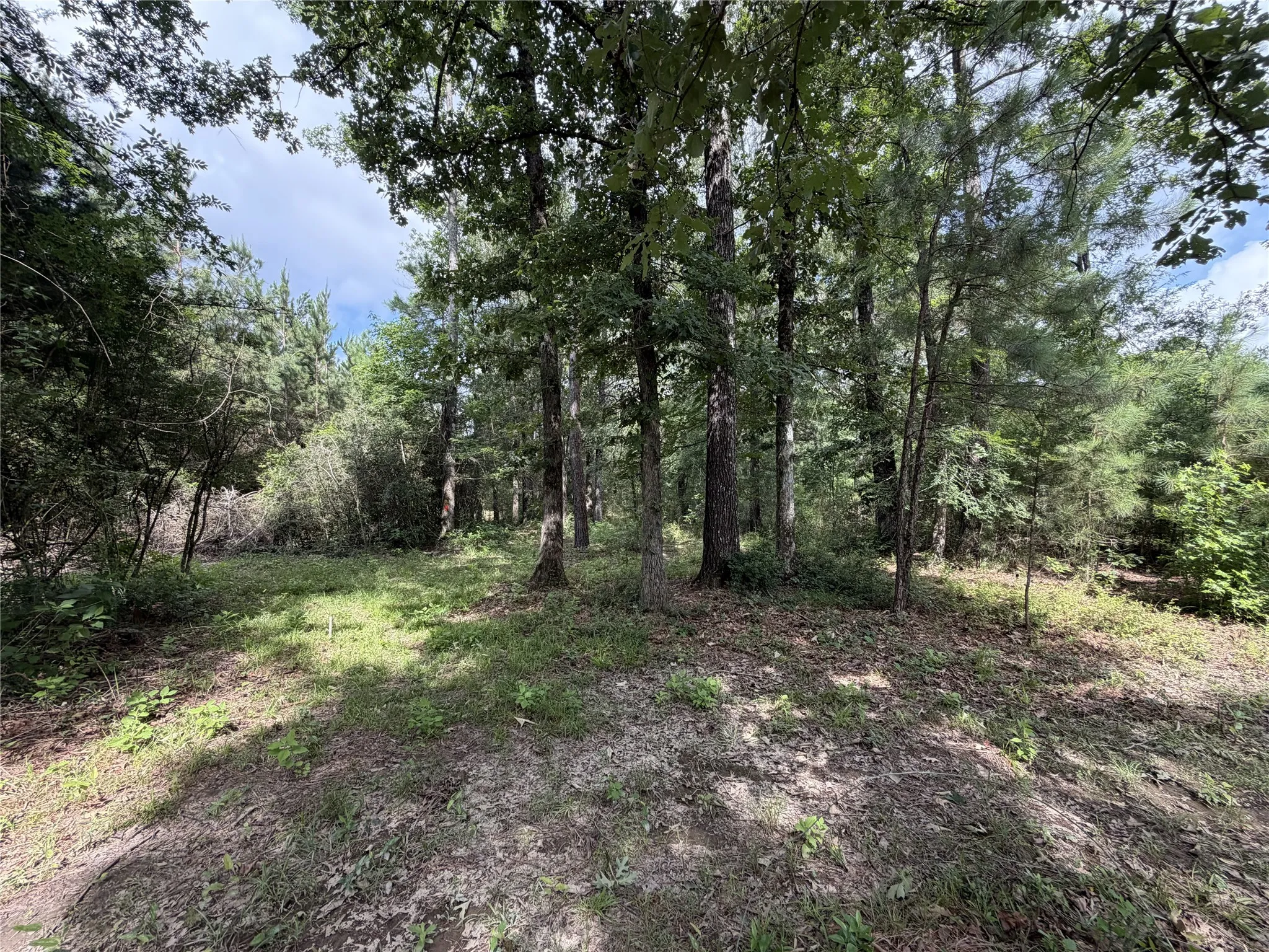 Improved Land For Sale in Panola County , 6572 S FM 31, Carthage, Texas 75633, 0, 0, Garage spaces, 0 Sqft, built in 2026, mls#21329136, Real Estate Agent in Carthage, Homes For Sale in Panola county, Homes For Sale in Carthage, Realtor in Carthage Texas, Real Estate Brokerage Independent Realty Texas, Luminita Cordes Realtor