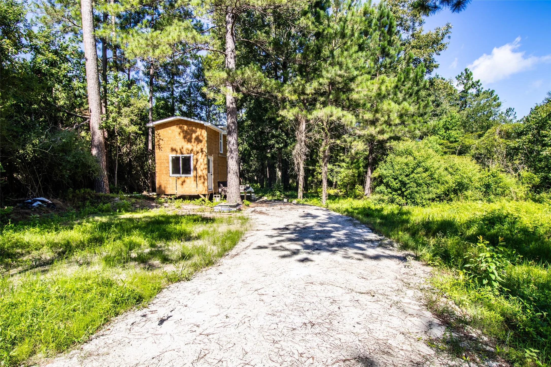 Improved Land For Sale in Panola County , 6572 S FM 31, Carthage, Texas 75633, 0, 0, Garage spaces, 0 Sqft, built in 2026, mls#21329136, Real Estate Agent in Carthage, Homes For Sale in Panola county, Homes For Sale in Carthage, Realtor in Carthage Texas, Real Estate Brokerage Independent Realty Texas, Luminita Cordes Realtor