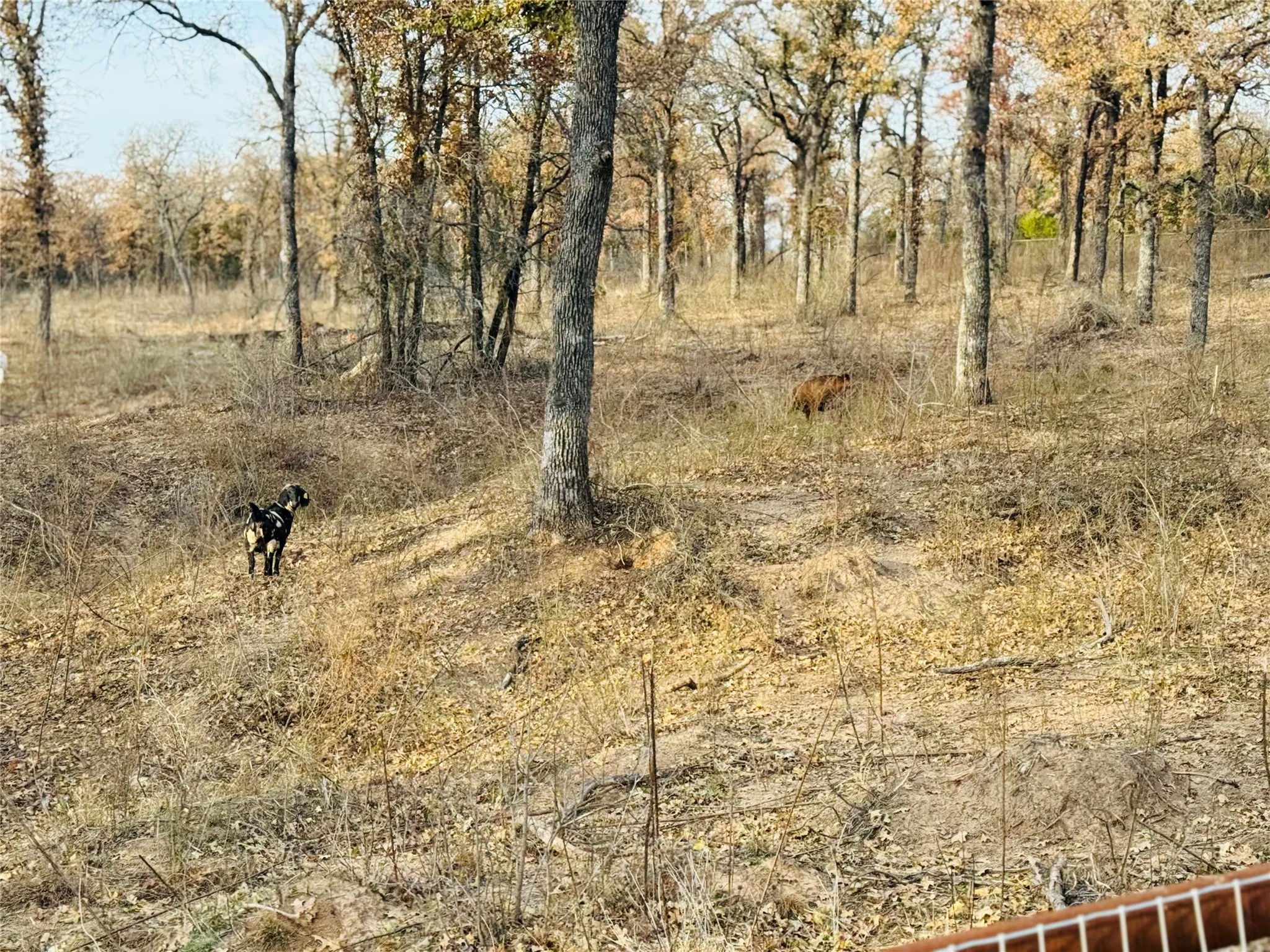 Single Family Residence For Sale in Erath County , 800 Private Road 1485, Hico, Texas 76457, 2 Bedroom, 2 Bathroom, Garage spaces, 1,750 Sqft, built in 2024, mls#21329009, Real Estate Agent in Hico, Homes For Sale in Erath county, Homes For Sale in Hico, Realtor in Hico Texas, Real Estate Brokerage Independent Realty Texas, Luminita Cordes Realtor