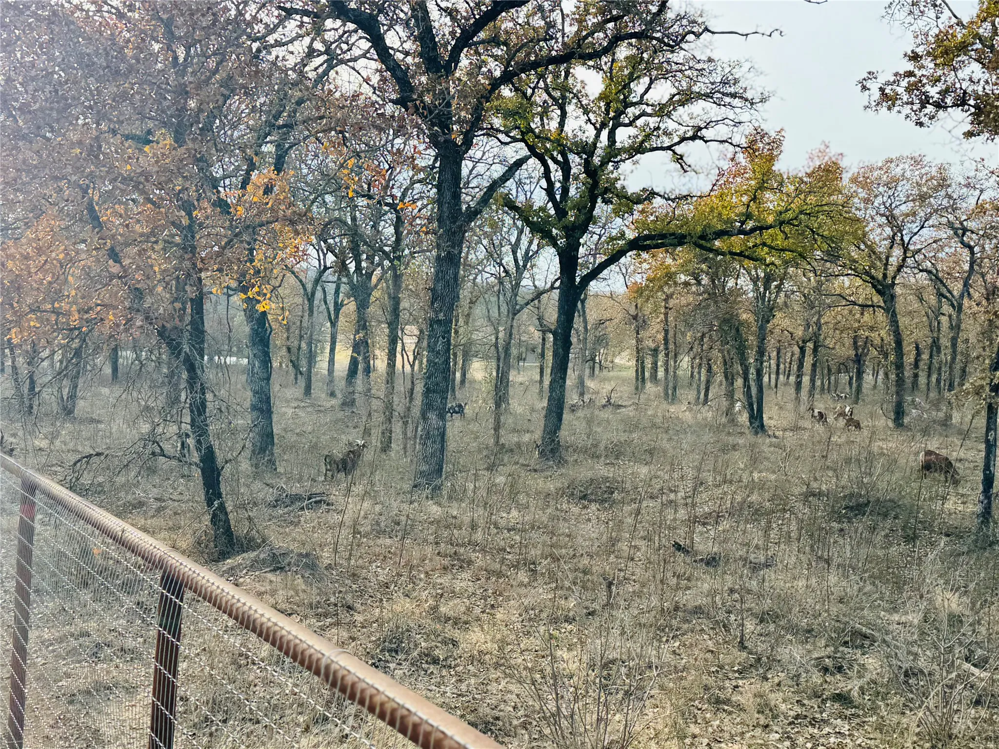 Single Family Residence For Sale in Erath County , 800 Private Road 1485, Hico, Texas 76457, 2 Bedroom, 2 Bathroom, Garage spaces, 1,750 Sqft, built in 2024, mls#21329009, Real Estate Agent in Hico, Homes For Sale in Erath county, Homes For Sale in Hico, Realtor in Hico Texas, Real Estate Brokerage Independent Realty Texas, Luminita Cordes Realtor