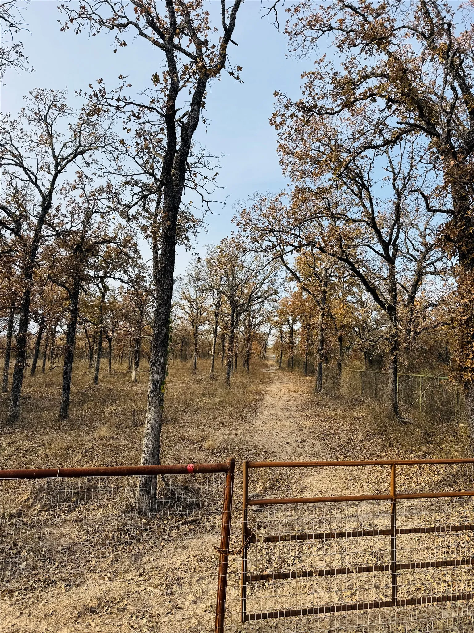 Single Family Residence For Sale in Erath County , 800 Private Road 1485, Hico, Texas 76457, 2 Bedroom, 2 Bathroom, Garage spaces, 1,750 Sqft, built in 2024, mls#21329009, Real Estate Agent in Hico, Homes For Sale in Erath county, Homes For Sale in Hico, Realtor in Hico Texas, Real Estate Brokerage Independent Realty Texas, Luminita Cordes Realtor