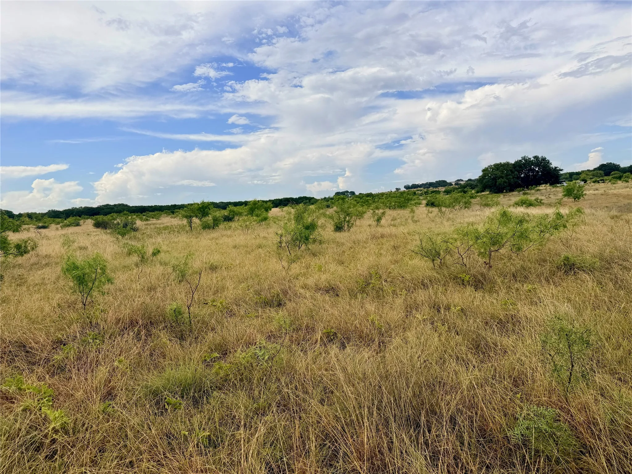Ranch For Sale in Mills County , 104 Live Oak Mott Drive, Goldthwaite, Texas 76844, 0, 0, Garage spaces, 0 Sqft, built in 0, mls#21329177, Real Estate Agent in Goldthwaite, Homes For Sale in Mills county, Homes For Sale in Goldthwaite, Realtor in Goldthwaite Texas, Real Estate Brokerage Independent Realty Texas, Luminita Cordes Realtor