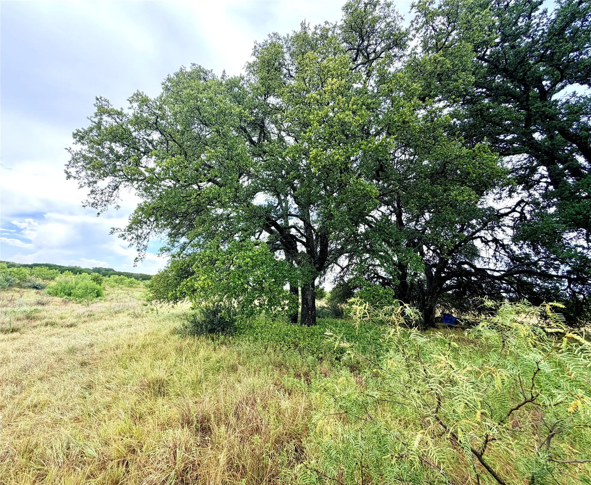 Ranch For Sale in Mills County , 104 Live Oak Mott Drive, Goldthwaite, Texas 76844, 0, 0, Garage spaces, 0 Sqft, built in 0, mls#21329177, Real Estate Agent in Goldthwaite, Homes For Sale in Mills county, Homes For Sale in Goldthwaite, Realtor in Goldthwaite Texas, Real Estate Brokerage Independent Realty Texas, Luminita Cordes Realtor
