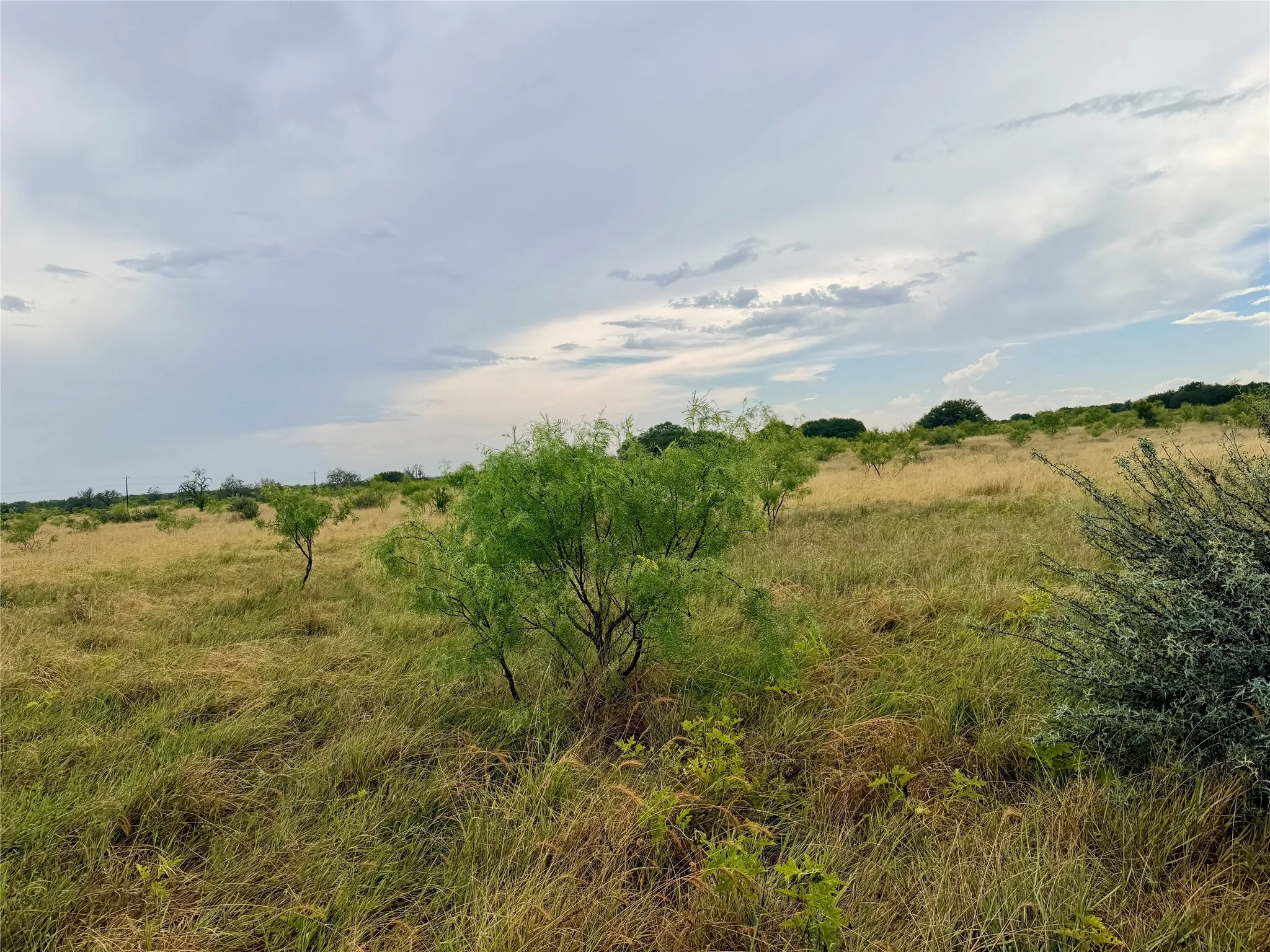 Ranch For Sale in Mills County , 104 Live Oak Mott Drive, Goldthwaite, Texas 76844, 0, 0, Garage spaces, 0 Sqft, built in 0, mls#21329177, Real Estate Agent in Goldthwaite, Homes For Sale in Mills county, Homes For Sale in Goldthwaite, Realtor in Goldthwaite Texas, Real Estate Brokerage Independent Realty Texas, Luminita Cordes Realtor