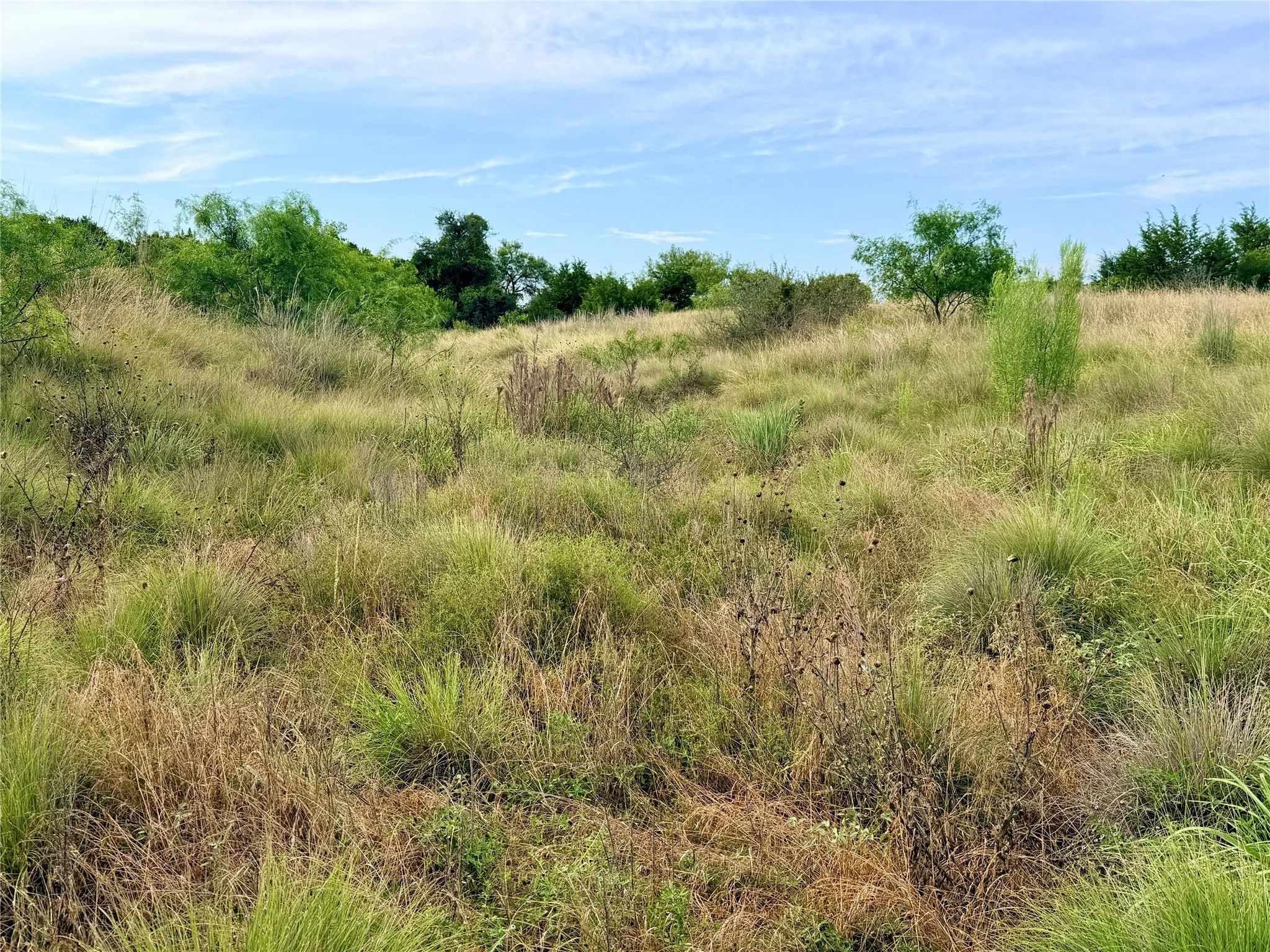 Ranch For Sale in Mills County , 104 Live Oak Mott Drive, Goldthwaite, Texas 76844, 0, 0, Garage spaces, 0 Sqft, built in 0, mls#21329177, Real Estate Agent in Goldthwaite, Homes For Sale in Mills county, Homes For Sale in Goldthwaite, Realtor in Goldthwaite Texas, Real Estate Brokerage Independent Realty Texas, Luminita Cordes Realtor