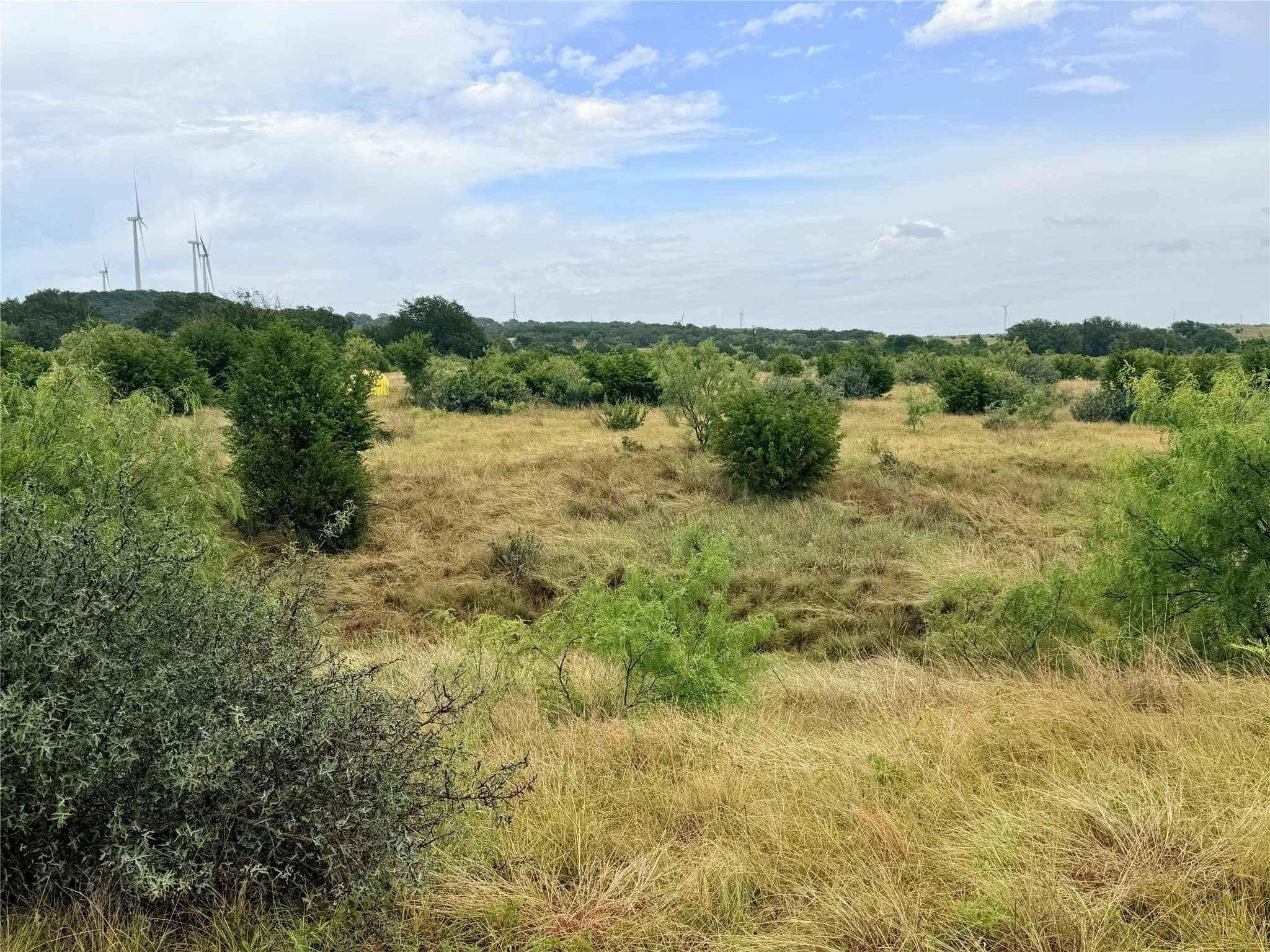Ranch For Sale in Mills County , 104 Live Oak Mott Drive, Goldthwaite, Texas 76844, 0, 0, Garage spaces, 0 Sqft, built in 0, mls#21329177, Real Estate Agent in Goldthwaite, Homes For Sale in Mills county, Homes For Sale in Goldthwaite, Realtor in Goldthwaite Texas, Real Estate Brokerage Independent Realty Texas, Luminita Cordes Realtor