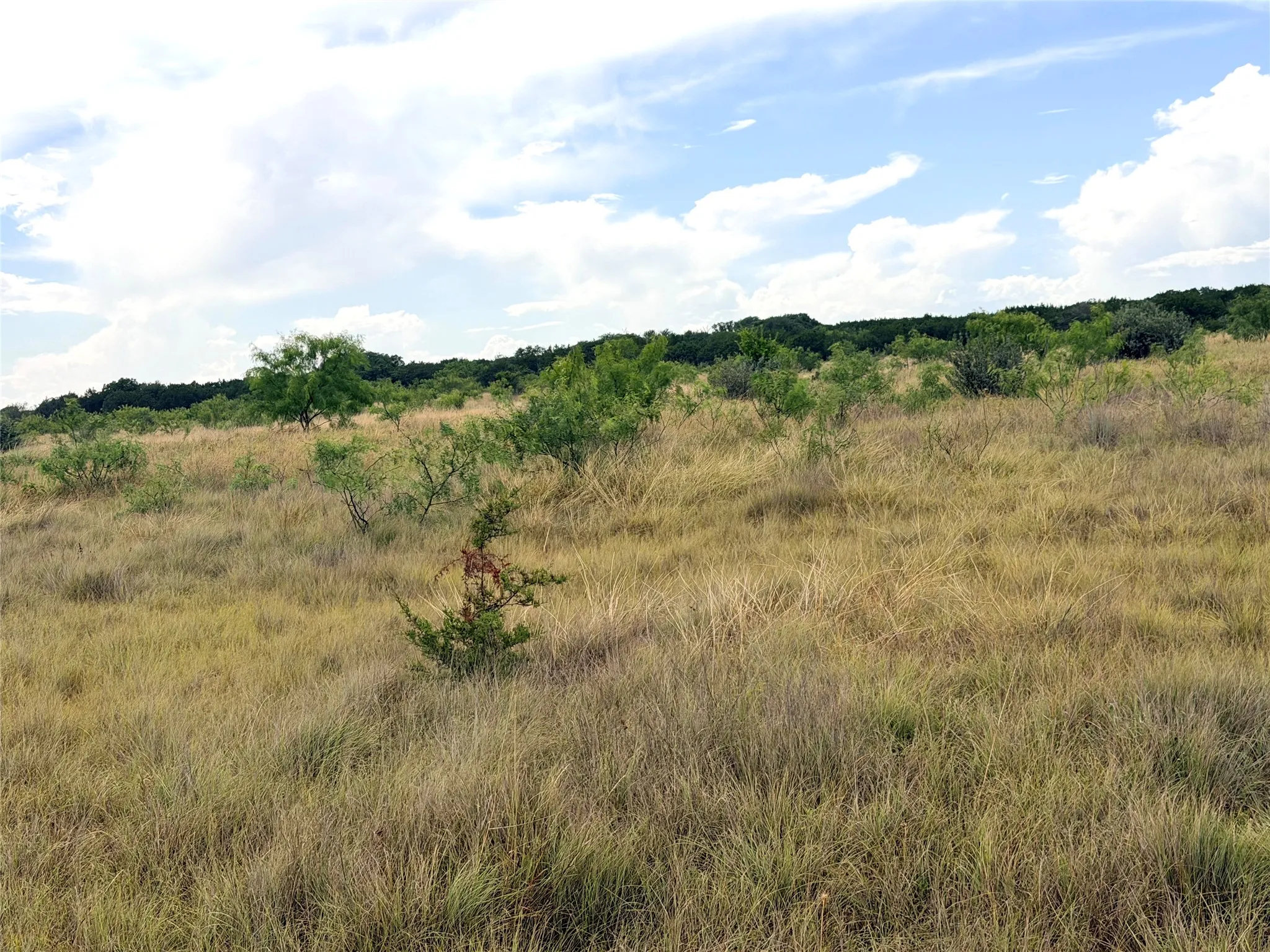 Ranch For Sale in Mills County , 104 Live Oak Mott Drive, Goldthwaite, Texas 76844, 0, 0, Garage spaces, 0 Sqft, built in 0, mls#21329177, Real Estate Agent in Goldthwaite, Homes For Sale in Mills county, Homes For Sale in Goldthwaite, Realtor in Goldthwaite Texas, Real Estate Brokerage Independent Realty Texas, Luminita Cordes Realtor