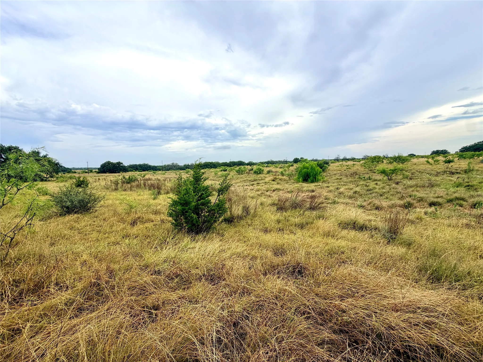 Ranch For Sale in Mills County , 104 Live Oak Mott Drive, Goldthwaite, Texas 76844, 0, 0, Garage spaces, 0 Sqft, built in 0, mls#21329177, Real Estate Agent in Goldthwaite, Homes For Sale in Mills county, Homes For Sale in Goldthwaite, Realtor in Goldthwaite Texas, Real Estate Brokerage Independent Realty Texas, Luminita Cordes Realtor