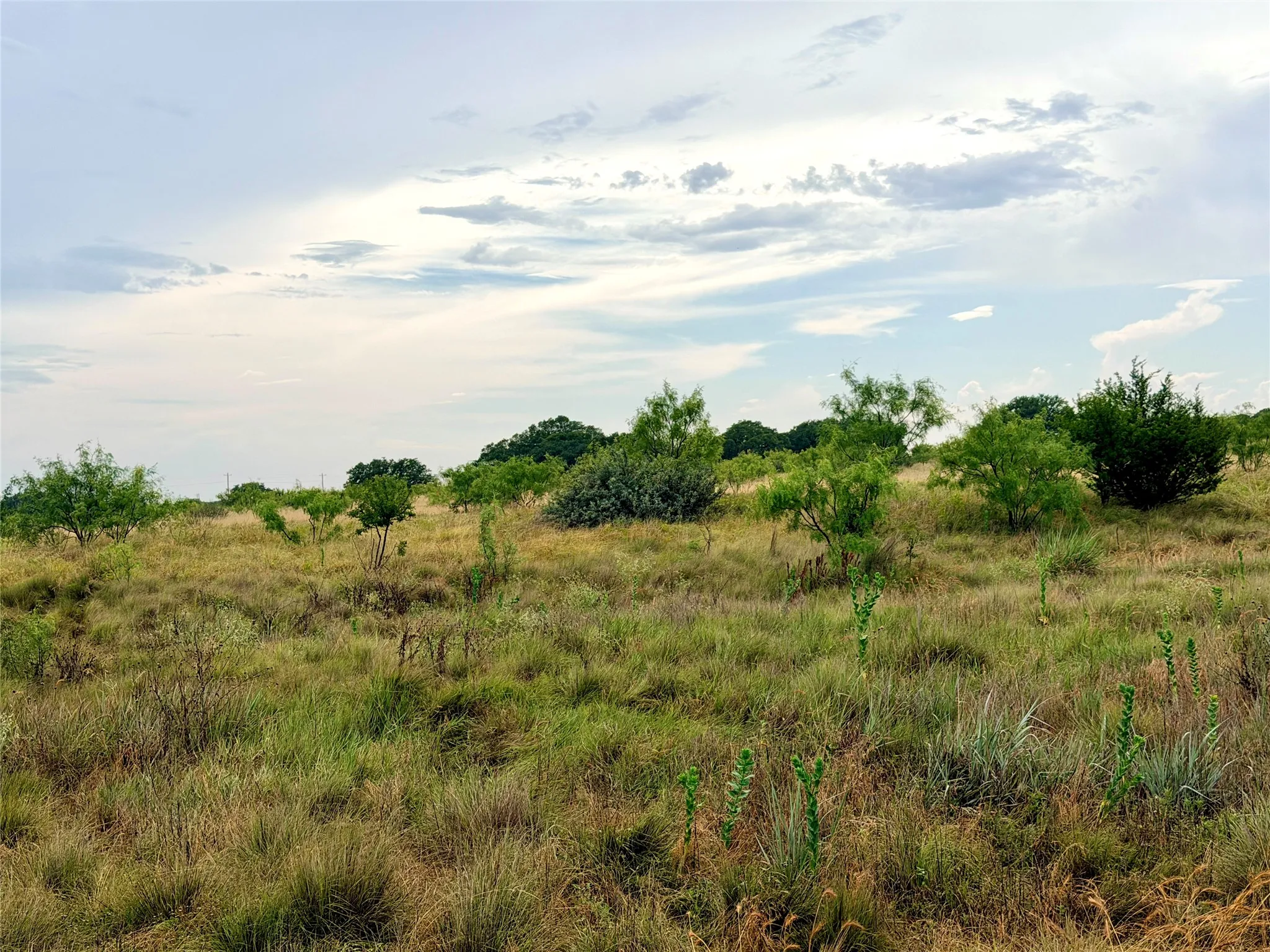 Ranch For Sale in Mills County , 104 Live Oak Mott Drive, Goldthwaite, Texas 76844, 0, 0, Garage spaces, 0 Sqft, built in 0, mls#21329177, Real Estate Agent in Goldthwaite, Homes For Sale in Mills county, Homes For Sale in Goldthwaite, Realtor in Goldthwaite Texas, Real Estate Brokerage Independent Realty Texas, Luminita Cordes Realtor