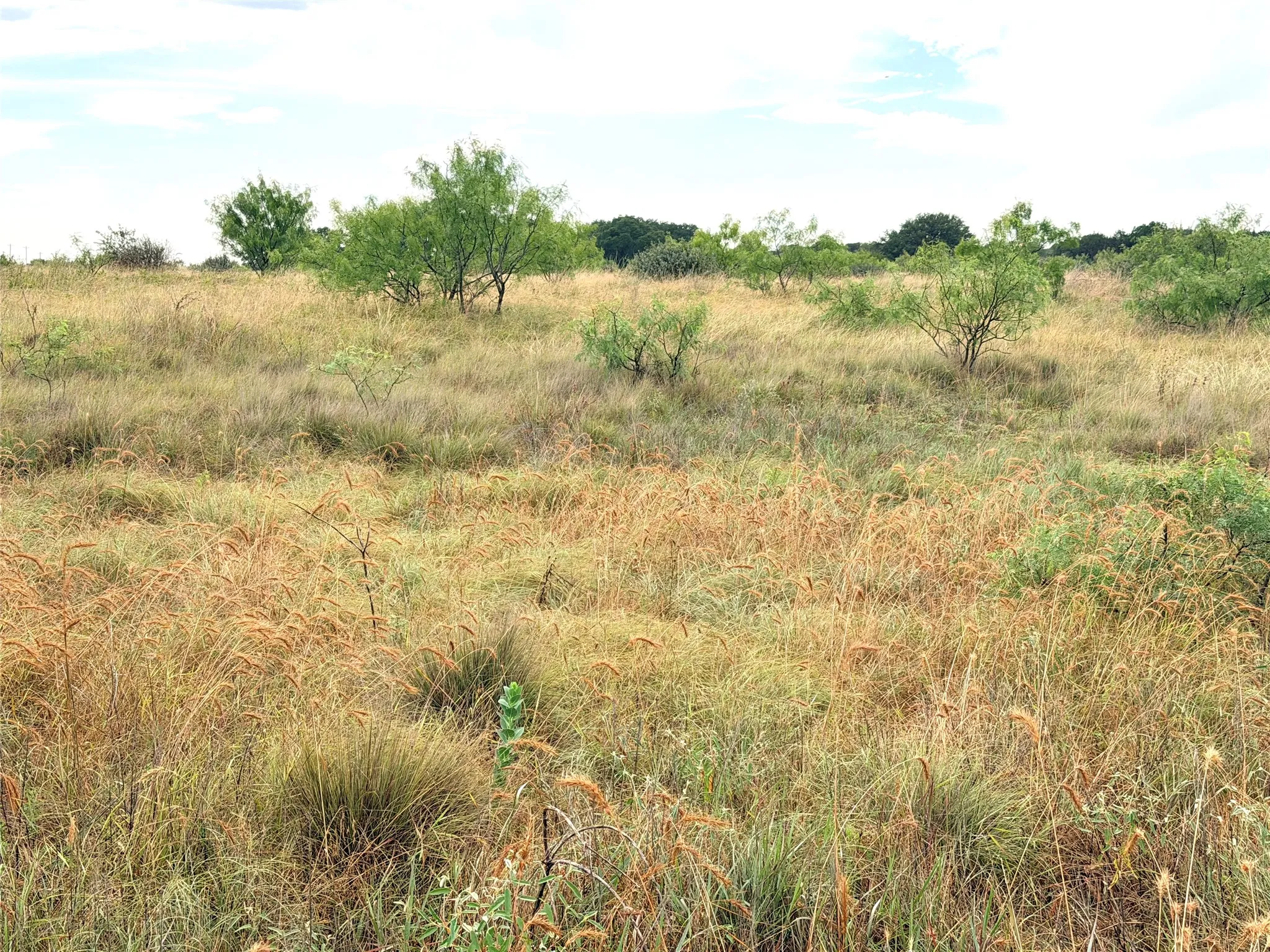 Ranch For Sale in Mills County , 104 Live Oak Mott Drive, Goldthwaite, Texas 76844, 0, 0, Garage spaces, 0 Sqft, built in 0, mls#21329177, Real Estate Agent in Goldthwaite, Homes For Sale in Mills county, Homes For Sale in Goldthwaite, Realtor in Goldthwaite Texas, Real Estate Brokerage Independent Realty Texas, Luminita Cordes Realtor