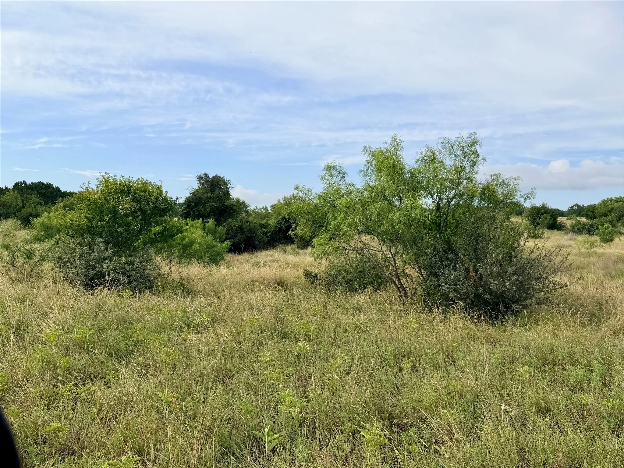 Ranch For Sale in Mills County , 104 Live Oak Mott Drive, Goldthwaite, Texas 76844, 0, 0, Garage spaces, 0 Sqft, built in 0, mls#21329177, Real Estate Agent in Goldthwaite, Homes For Sale in Mills county, Homes For Sale in Goldthwaite, Realtor in Goldthwaite Texas, Real Estate Brokerage Independent Realty Texas, Luminita Cordes Realtor