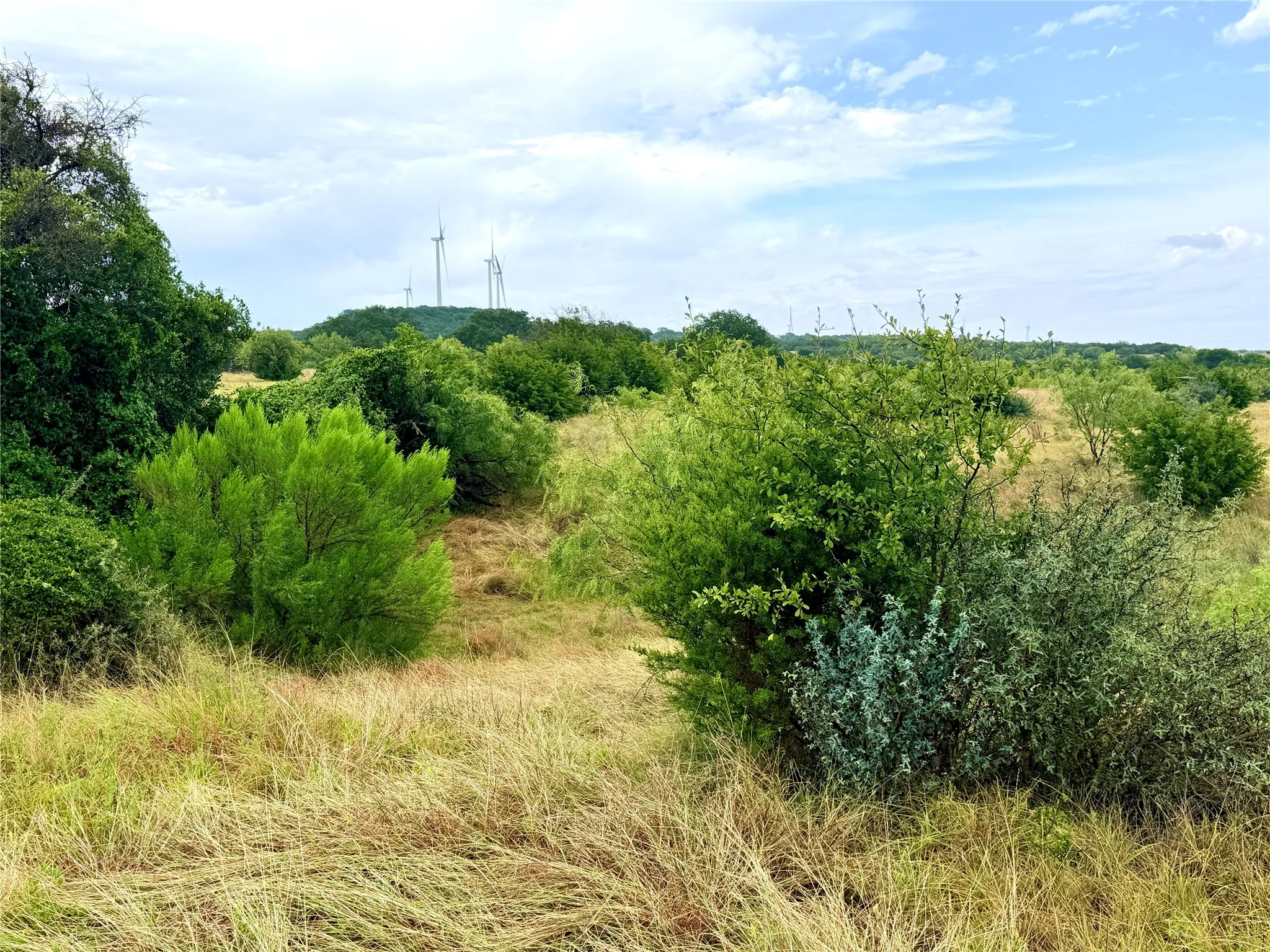 Ranch For Sale in Mills County , 104 Live Oak Mott Drive, Goldthwaite, Texas 76844, 0, 0, Garage spaces, 0 Sqft, built in 0, mls#21329177, Real Estate Agent in Goldthwaite, Homes For Sale in Mills county, Homes For Sale in Goldthwaite, Realtor in Goldthwaite Texas, Real Estate Brokerage Independent Realty Texas, Luminita Cordes Realtor