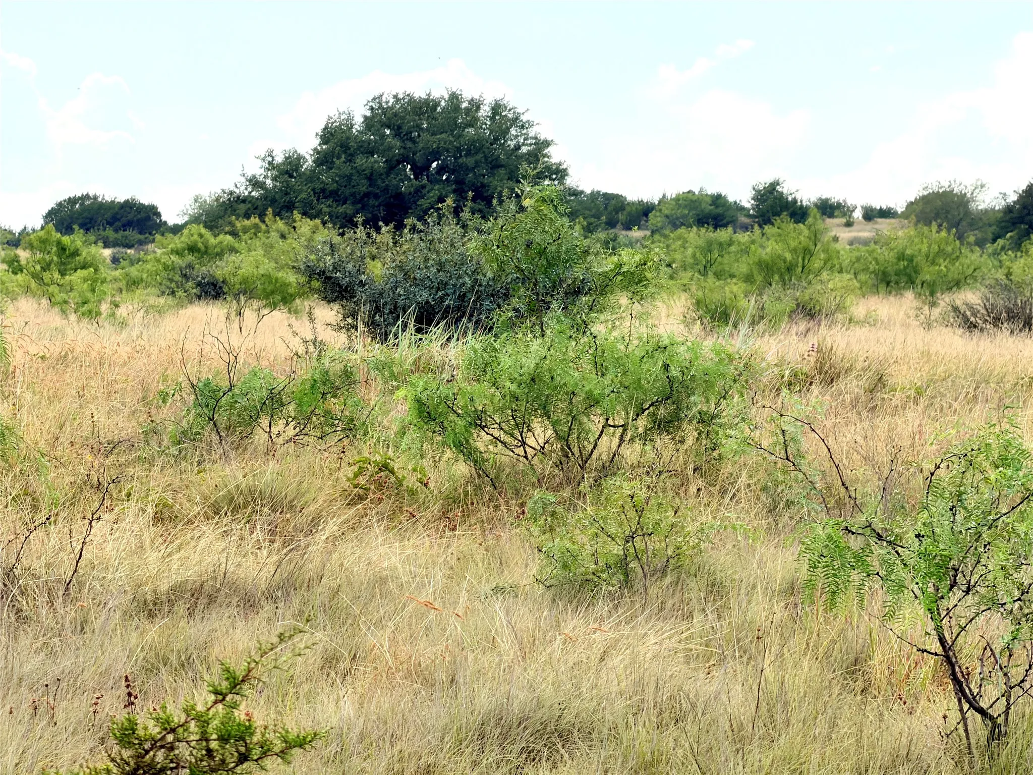Ranch For Sale in Mills County , 104 Live Oak Mott Drive, Goldthwaite, Texas 76844, 0, 0, Garage spaces, 0 Sqft, built in 0, mls#21329177, Real Estate Agent in Goldthwaite, Homes For Sale in Mills county, Homes For Sale in Goldthwaite, Realtor in Goldthwaite Texas, Real Estate Brokerage Independent Realty Texas, Luminita Cordes Realtor