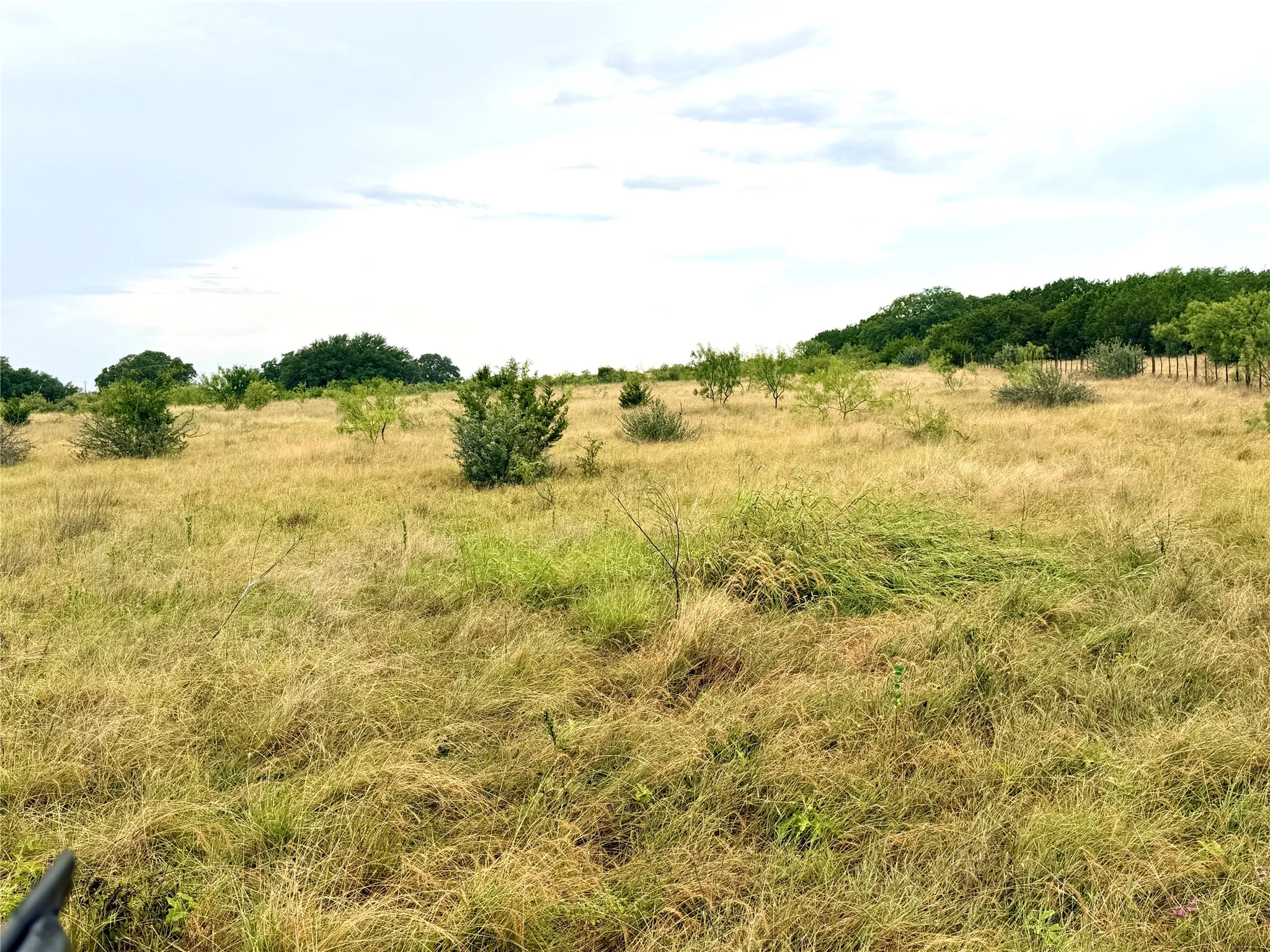 Ranch For Sale in Mills County , 104 Live Oak Mott Drive, Goldthwaite, Texas 76844, 0, 0, Garage spaces, 0 Sqft, built in 0, mls#21329177, Real Estate Agent in Goldthwaite, Homes For Sale in Mills county, Homes For Sale in Goldthwaite, Realtor in Goldthwaite Texas, Real Estate Brokerage Independent Realty Texas, Luminita Cordes Realtor
