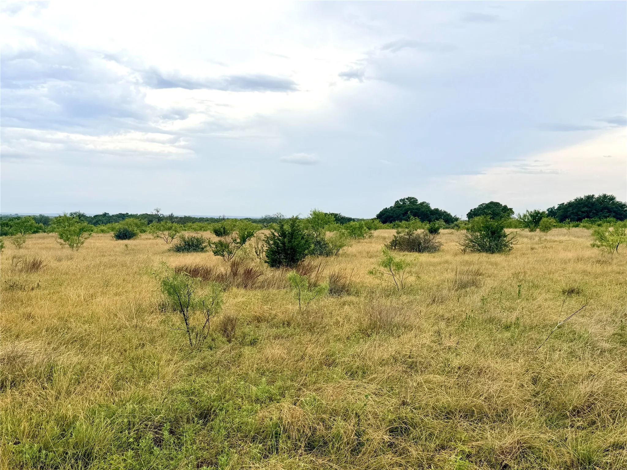 Ranch For Sale in Mills County , 104 Live Oak Mott Drive, Goldthwaite, Texas 76844, 0, 0, Garage spaces, 0 Sqft, built in 0, mls#21329177, Real Estate Agent in Goldthwaite, Homes For Sale in Mills county, Homes For Sale in Goldthwaite, Realtor in Goldthwaite Texas, Real Estate Brokerage Independent Realty Texas, Luminita Cordes Realtor