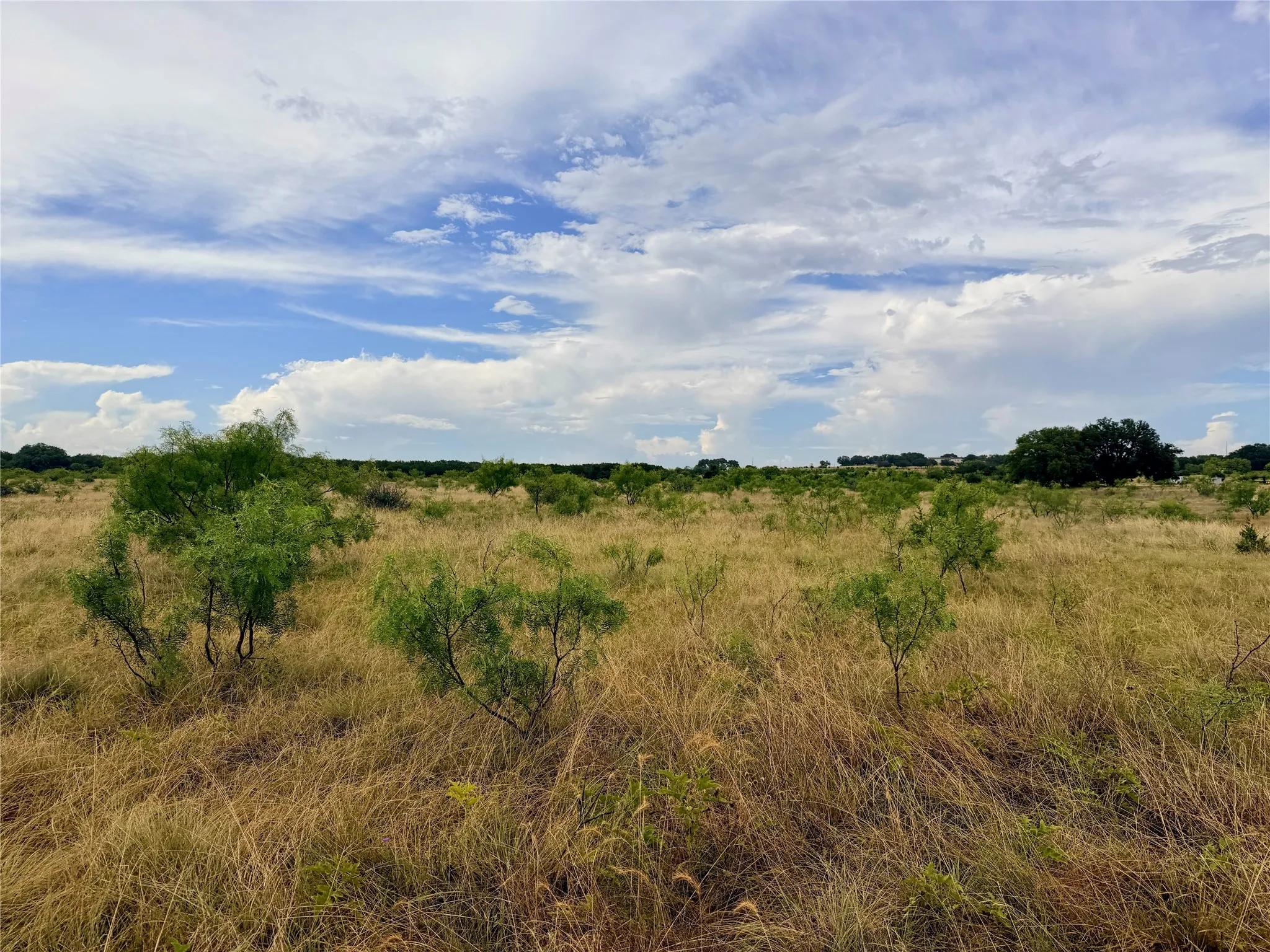 Ranch For Sale in Mills County , 104 Live Oak Mott Drive, Goldthwaite, Texas 76844, 0, 0, Garage spaces, 0 Sqft, built in 0, mls#21329177, Real Estate Agent in Goldthwaite, Homes For Sale in Mills county, Homes For Sale in Goldthwaite, Realtor in Goldthwaite Texas, Real Estate Brokerage Independent Realty Texas, Luminita Cordes Realtor