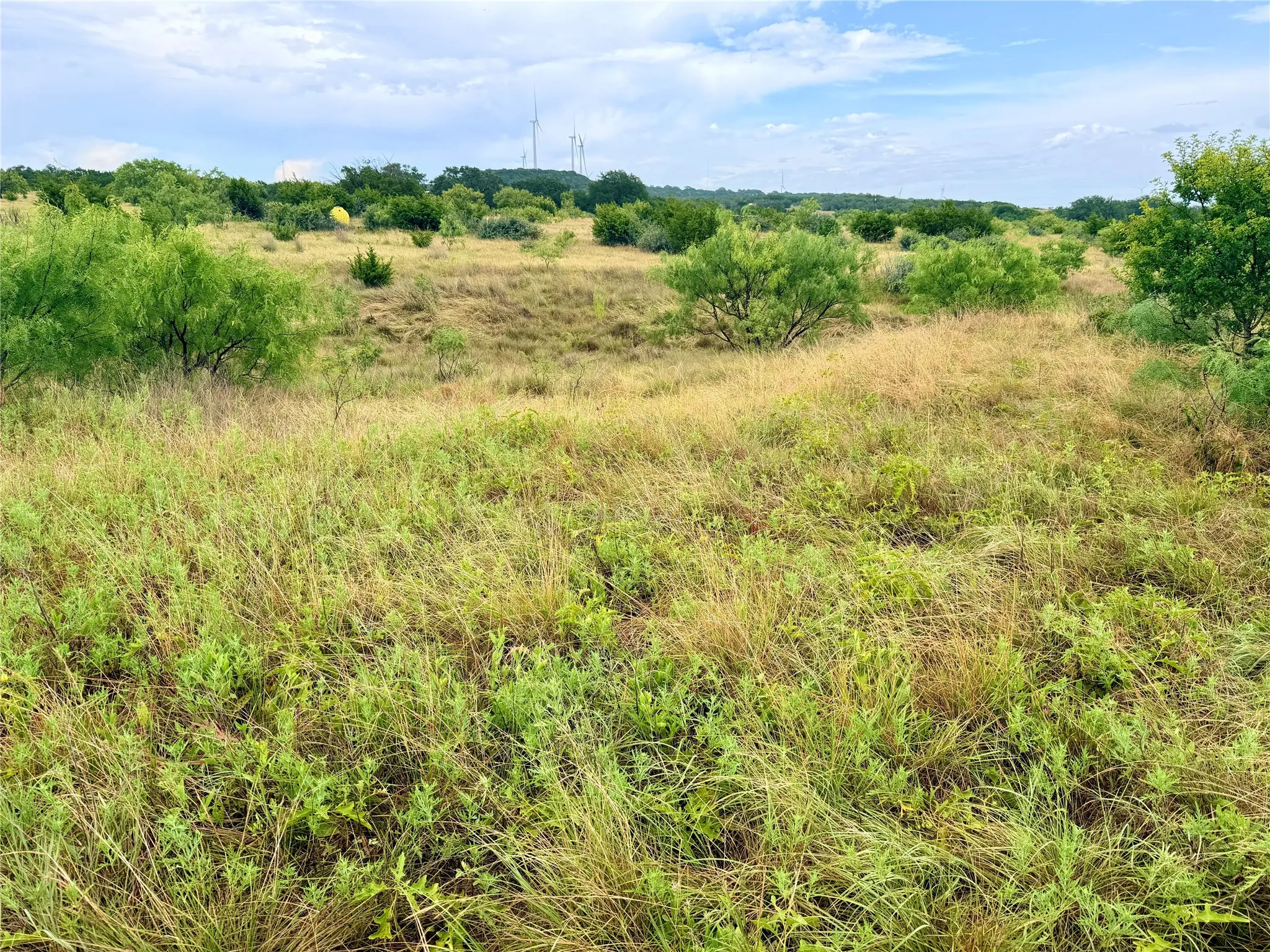 Ranch For Sale in Mills County , 104 Live Oak Mott Drive, Goldthwaite, Texas 76844, 0, 0, Garage spaces, 0 Sqft, built in 0, mls#21329177, Real Estate Agent in Goldthwaite, Homes For Sale in Mills county, Homes For Sale in Goldthwaite, Realtor in Goldthwaite Texas, Real Estate Brokerage Independent Realty Texas, Luminita Cordes Realtor