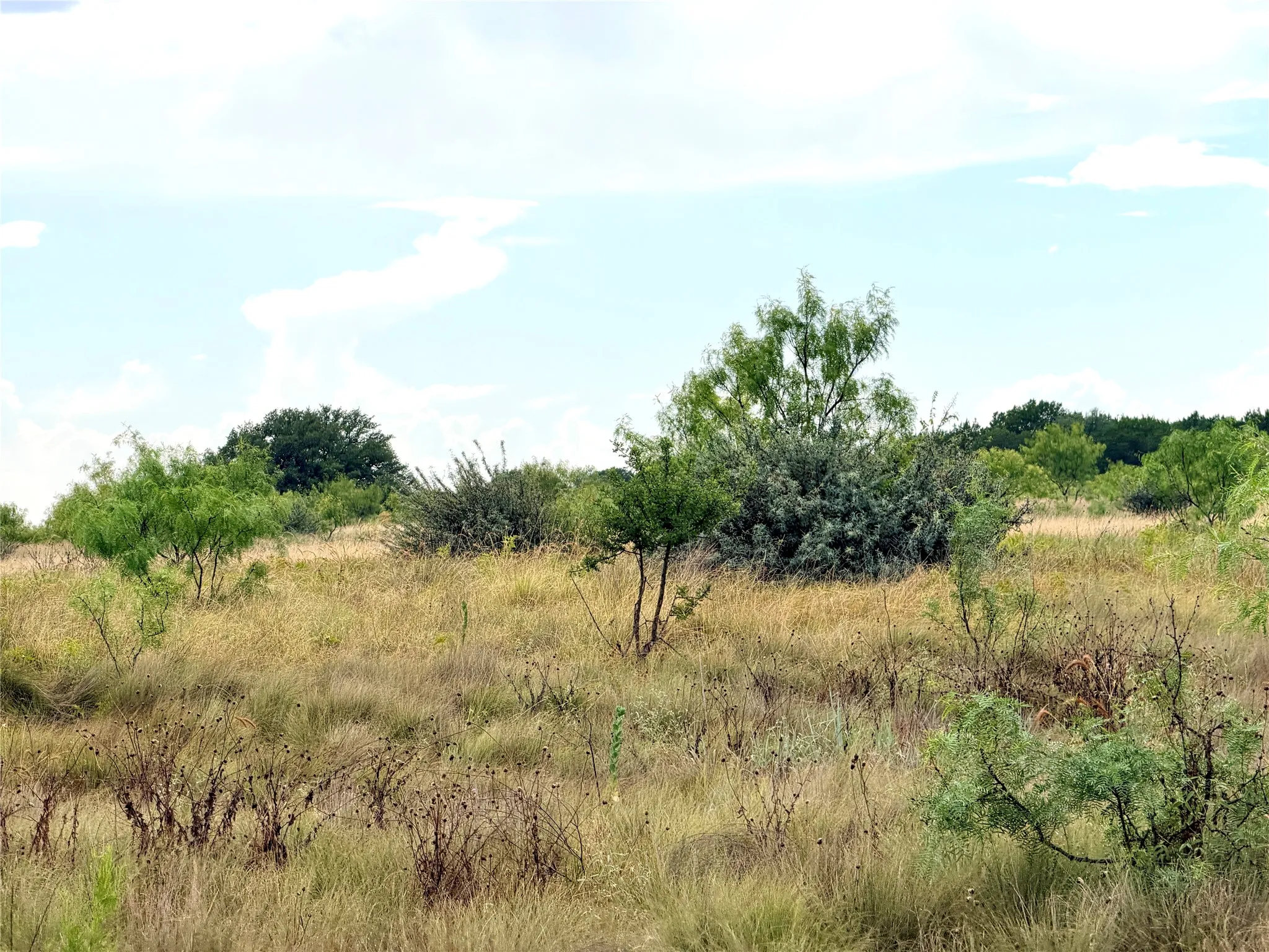 Ranch For Sale in Mills County , 104 Live Oak Mott Drive, Goldthwaite, Texas 76844, 0, 0, Garage spaces, 0 Sqft, built in 0, mls#21329177, Real Estate Agent in Goldthwaite, Homes For Sale in Mills county, Homes For Sale in Goldthwaite, Realtor in Goldthwaite Texas, Real Estate Brokerage Independent Realty Texas, Luminita Cordes Realtor