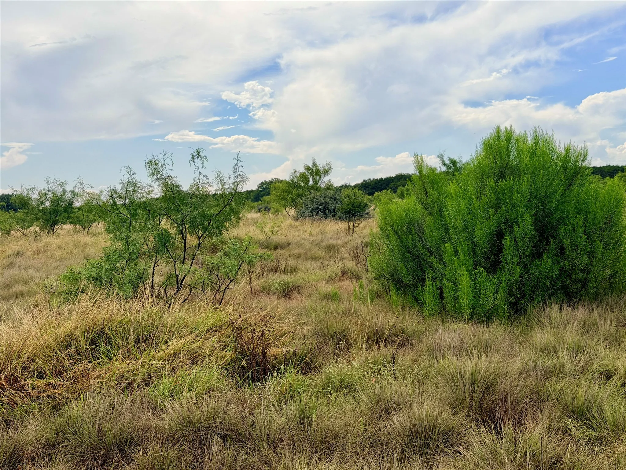 Ranch For Sale in Mills County , 104 Live Oak Mott Drive, Goldthwaite, Texas 76844, 0, 0, Garage spaces, 0 Sqft, built in 0, mls#21329177, Real Estate Agent in Goldthwaite, Homes For Sale in Mills county, Homes For Sale in Goldthwaite, Realtor in Goldthwaite Texas, Real Estate Brokerage Independent Realty Texas, Luminita Cordes Realtor