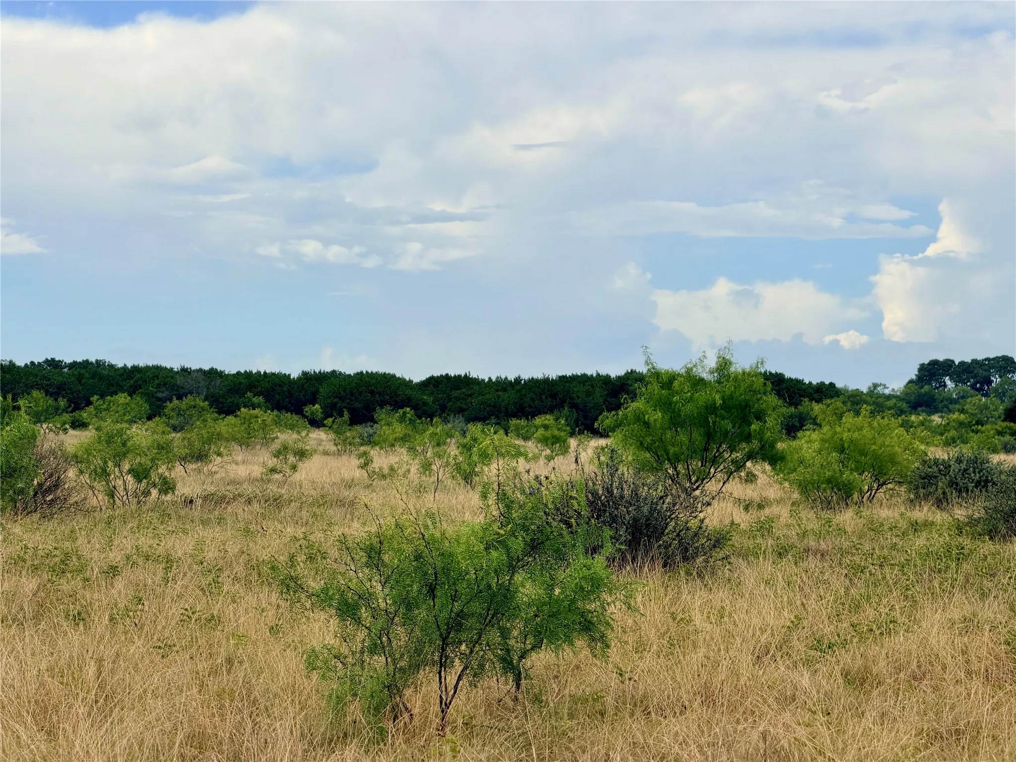 Ranch For Sale in Mills County , 104 Live Oak Mott Drive, Goldthwaite, Texas 76844, 0, 0, Garage spaces, 0 Sqft, built in 0, mls#21329177, Real Estate Agent in Goldthwaite, Homes For Sale in Mills county, Homes For Sale in Goldthwaite, Realtor in Goldthwaite Texas, Real Estate Brokerage Independent Realty Texas, Luminita Cordes Realtor