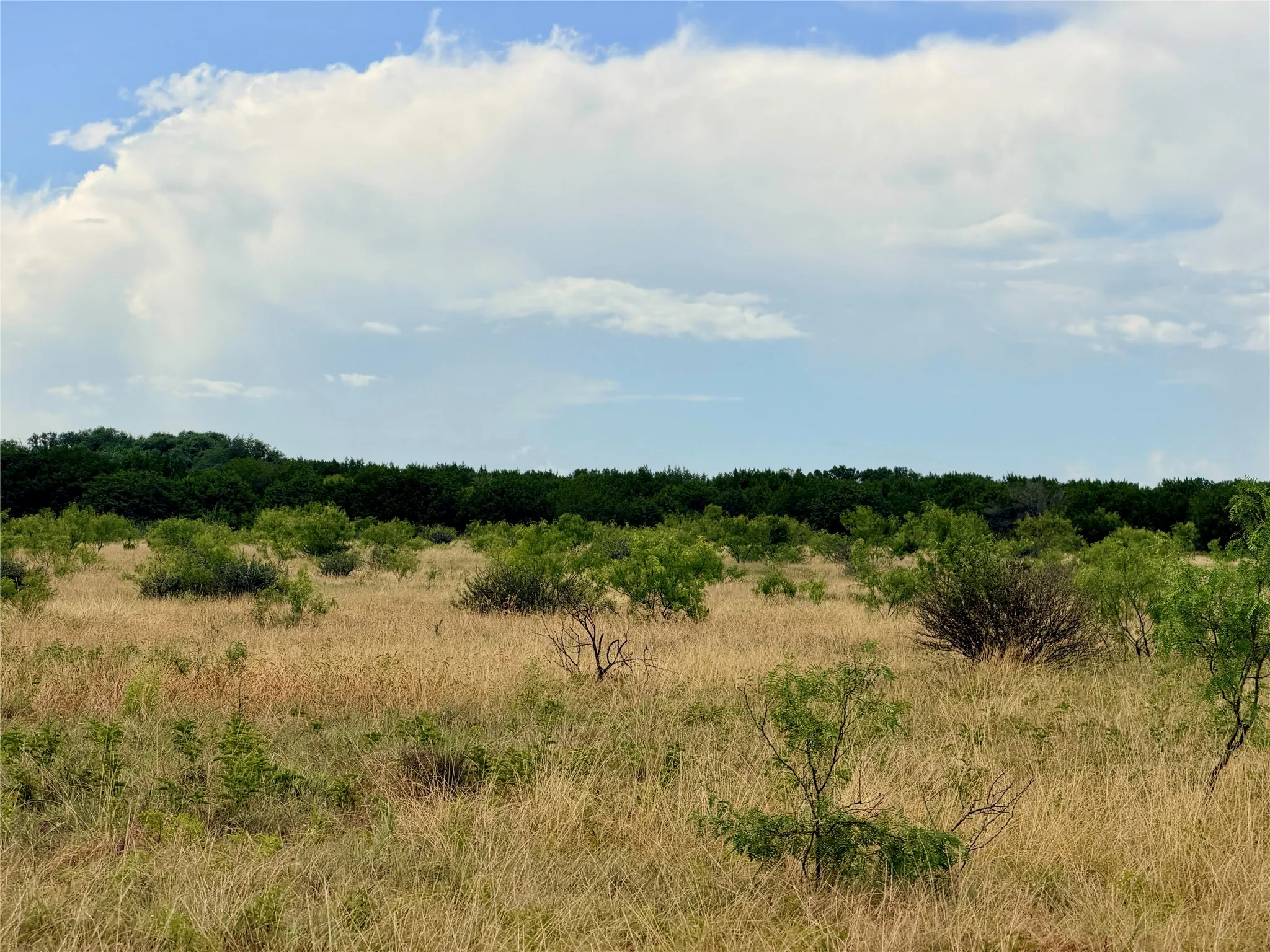 Ranch For Sale in Mills County , 104 Live Oak Mott Drive, Goldthwaite, Texas 76844, 0, 0, Garage spaces, 0 Sqft, built in 0, mls#21329177, Real Estate Agent in Goldthwaite, Homes For Sale in Mills county, Homes For Sale in Goldthwaite, Realtor in Goldthwaite Texas, Real Estate Brokerage Independent Realty Texas, Luminita Cordes Realtor