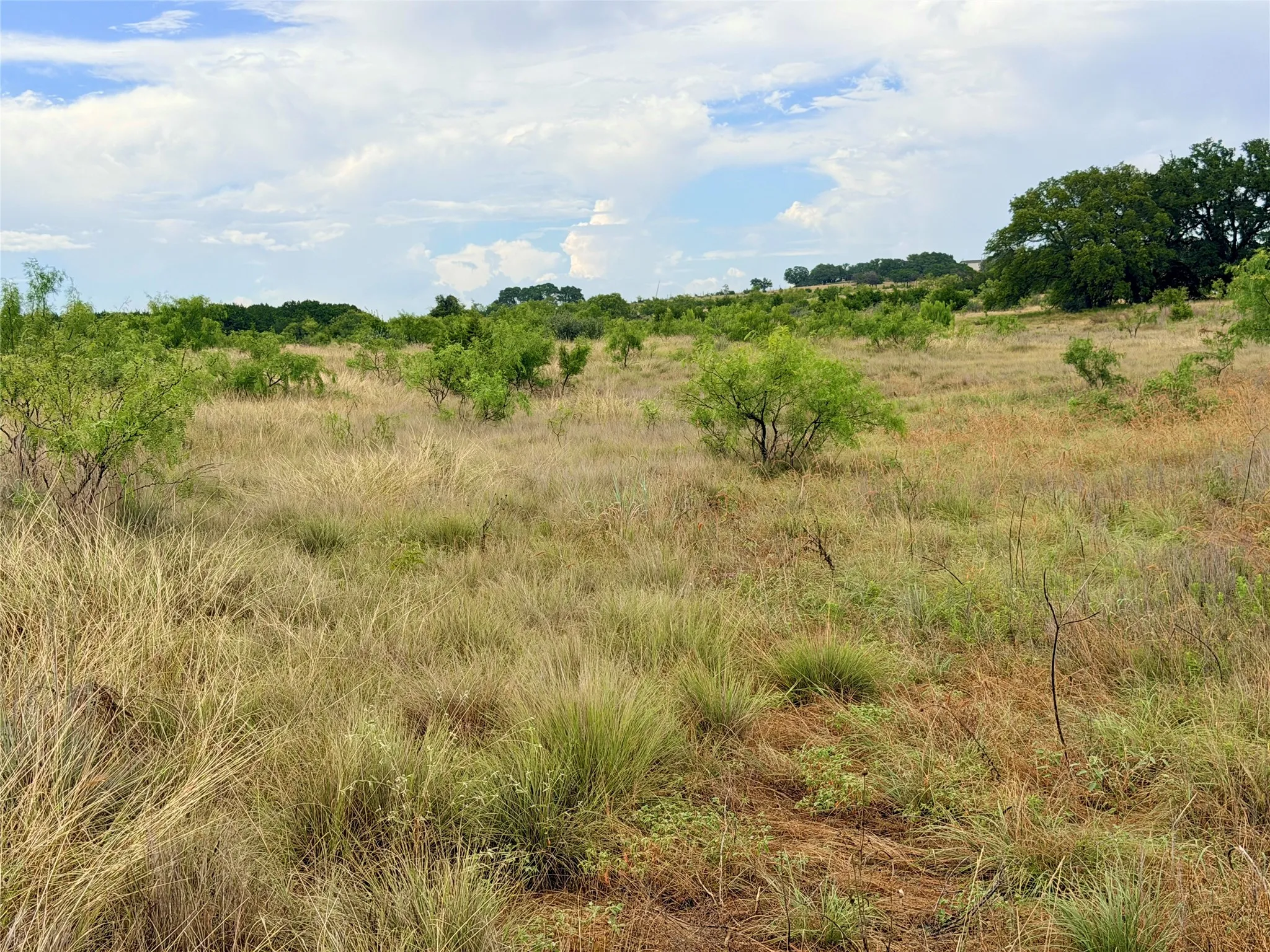 Ranch For Sale in Mills County , 104 Live Oak Mott Drive, Goldthwaite, Texas 76844, 0, 0, Garage spaces, 0 Sqft, built in 0, mls#21329177, Real Estate Agent in Goldthwaite, Homes For Sale in Mills county, Homes For Sale in Goldthwaite, Realtor in Goldthwaite Texas, Real Estate Brokerage Independent Realty Texas, Luminita Cordes Realtor