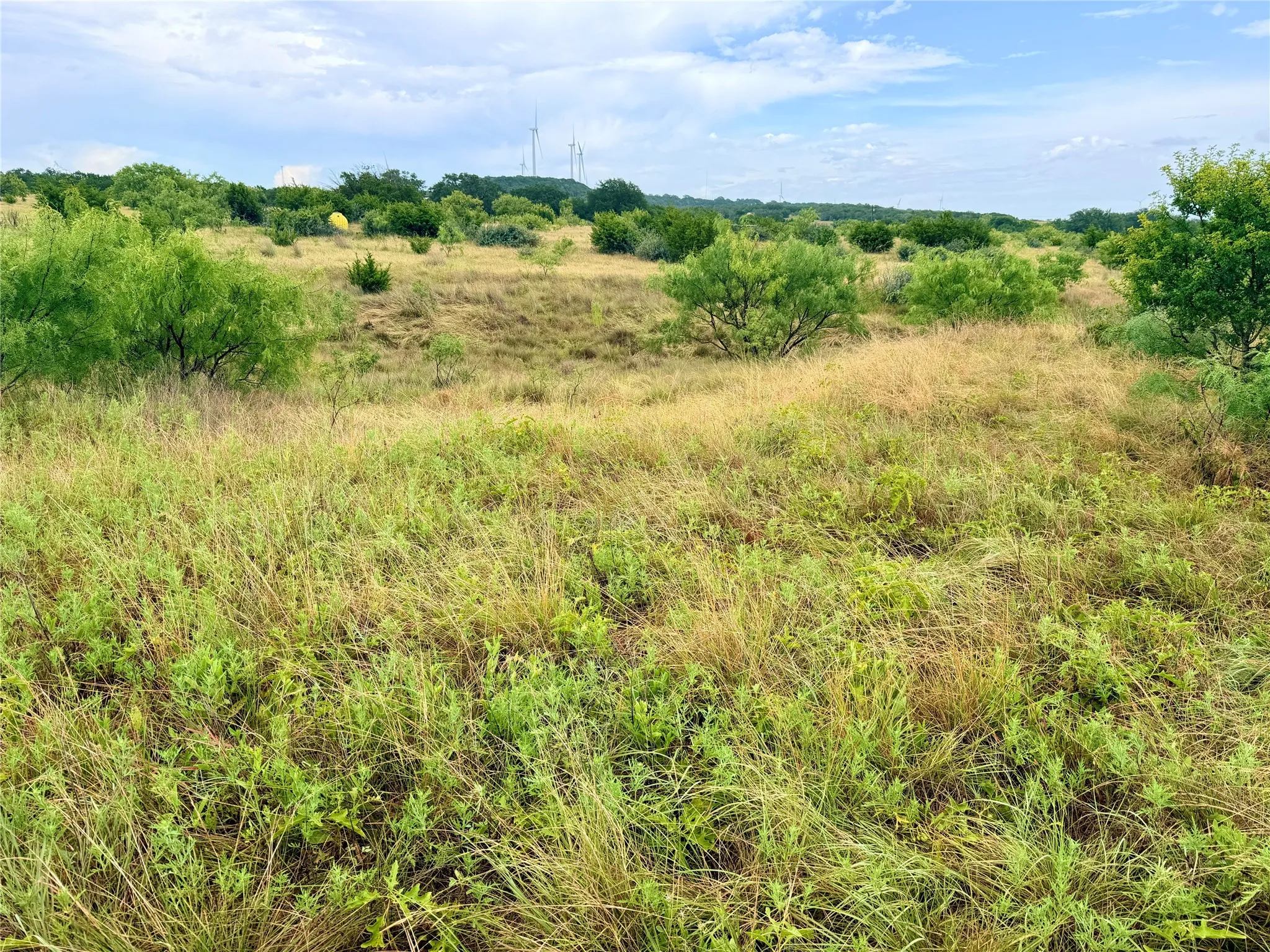 Ranch For Sale in Mills County , 104 Live Oak Mott Drive, Goldthwaite, Texas 76844, 0, 0, Garage spaces, 0 Sqft, built in 0, mls#21329177, Real Estate Agent in Goldthwaite, Homes For Sale in Mills county, Homes For Sale in Goldthwaite, Realtor in Goldthwaite Texas, Real Estate Brokerage Independent Realty Texas, Luminita Cordes Realtor