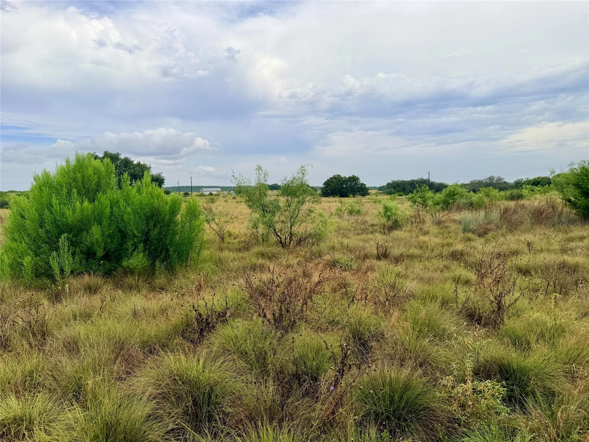 Ranch For Sale in Mills County , 104 Live Oak Mott Drive, Goldthwaite, Texas 76844, 0, 0, Garage spaces, 0 Sqft, built in 0, mls#21329177, Real Estate Agent in Goldthwaite, Homes For Sale in Mills county, Homes For Sale in Goldthwaite, Realtor in Goldthwaite Texas, Real Estate Brokerage Independent Realty Texas, Luminita Cordes Realtor