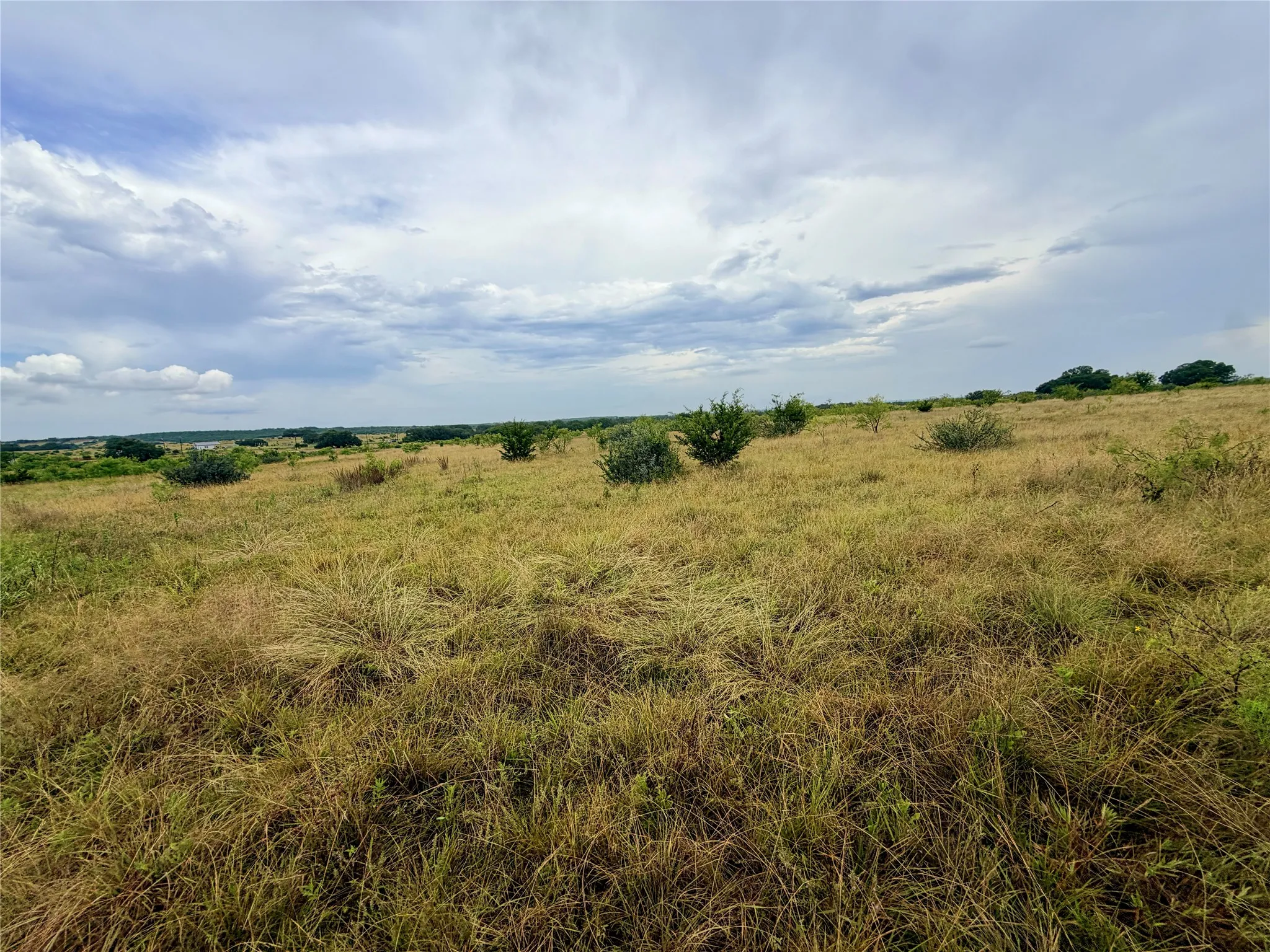Ranch For Sale in Mills County , 104 Live Oak Mott Drive, Goldthwaite, Texas 76844, 0, 0, Garage spaces, 0 Sqft, built in 0, mls#21329177, Real Estate Agent in Goldthwaite, Homes For Sale in Mills county, Homes For Sale in Goldthwaite, Realtor in Goldthwaite Texas, Real Estate Brokerage Independent Realty Texas, Luminita Cordes Realtor