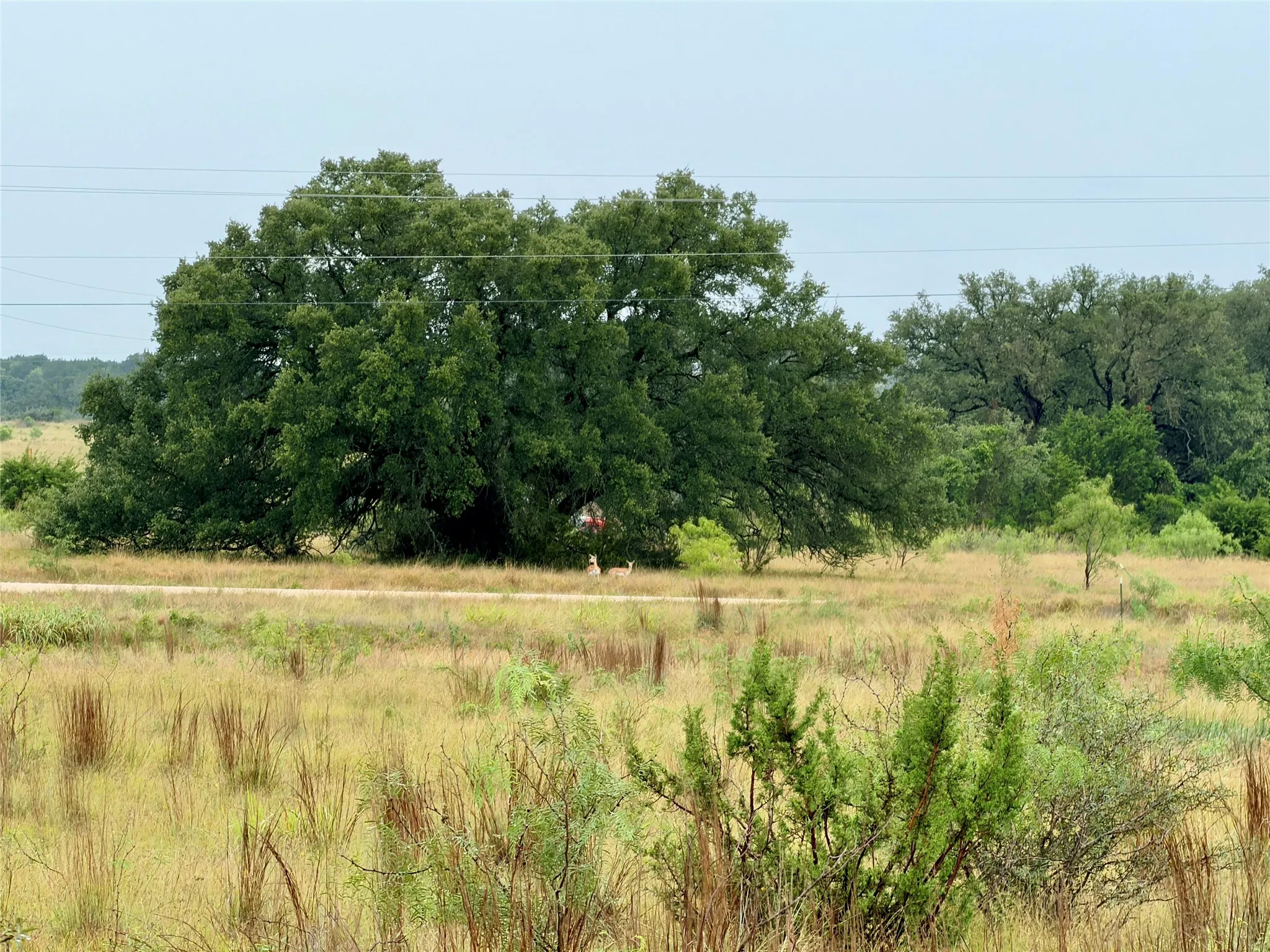 Ranch For Sale in Mills County , 104 Live Oak Mott Drive, Goldthwaite, Texas 76844, 0, 0, Garage spaces, 0 Sqft, built in 0, mls#21329177, Real Estate Agent in Goldthwaite, Homes For Sale in Mills county, Homes For Sale in Goldthwaite, Realtor in Goldthwaite Texas, Real Estate Brokerage Independent Realty Texas, Luminita Cordes Realtor