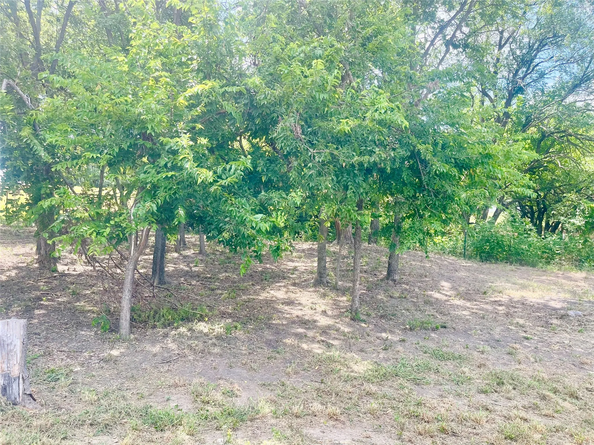 Unimproved Land For Sale in Hill County , 223 Longview Creek Trail, Itasca, Texas 76055, 0, 0, Garage spaces, 0 Sqft, built in 0, Price $175,000, mls#21329036, Real Estate Agent in Itasca, Homes For Sale in Hill county, Homes For Sale in Itasca, Realtor in Itasca Texas, Real Estate Brokerage Independent Realty Texas, Luminita Cordes Realtor