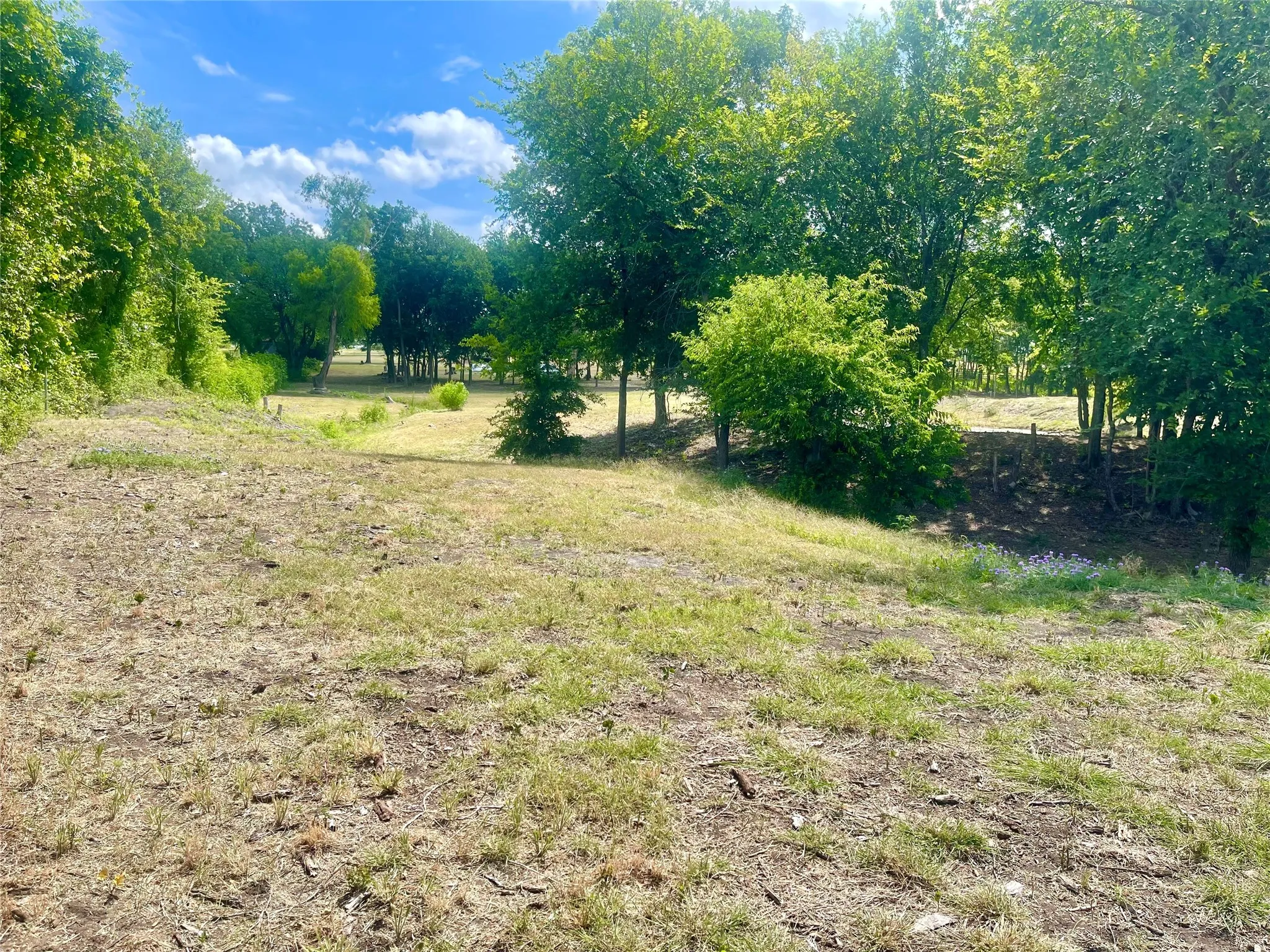 Expansive land parcel featuring natural terrain and mature trees