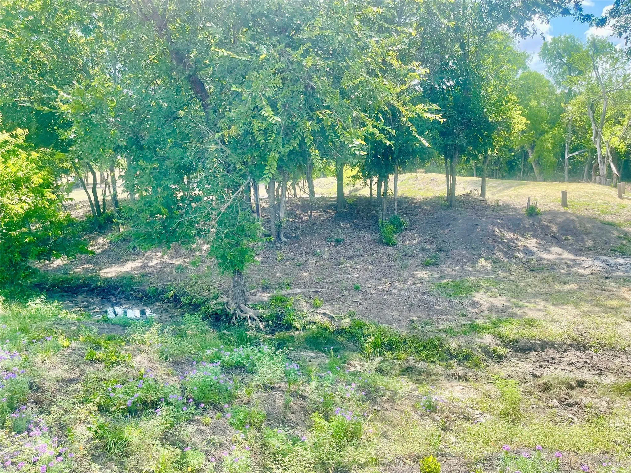 Unimproved Land For Sale in Hill County , 223 Longview Creek Trail, Itasca, Texas 76055, 0, 0, Garage spaces, 0 Sqft, built in 0, Price $175,000, mls#21329036, Real Estate Agent in Itasca, Homes For Sale in Hill county, Homes For Sale in Itasca, Realtor in Itasca Texas, Real Estate Brokerage Independent Realty Texas, Luminita Cordes Realtor