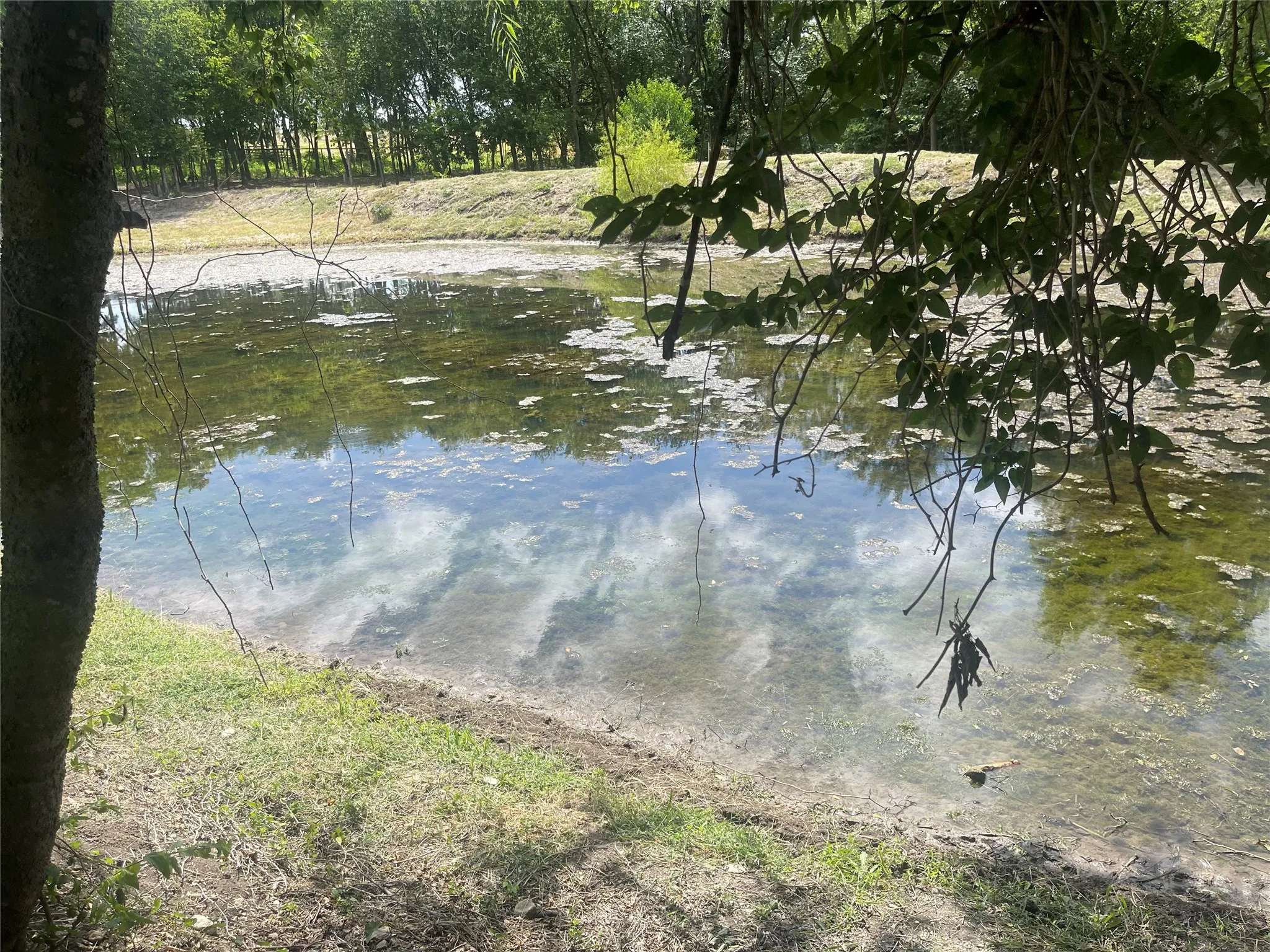 Natural water feature with surrounding green space, mature trees, and sky reflection