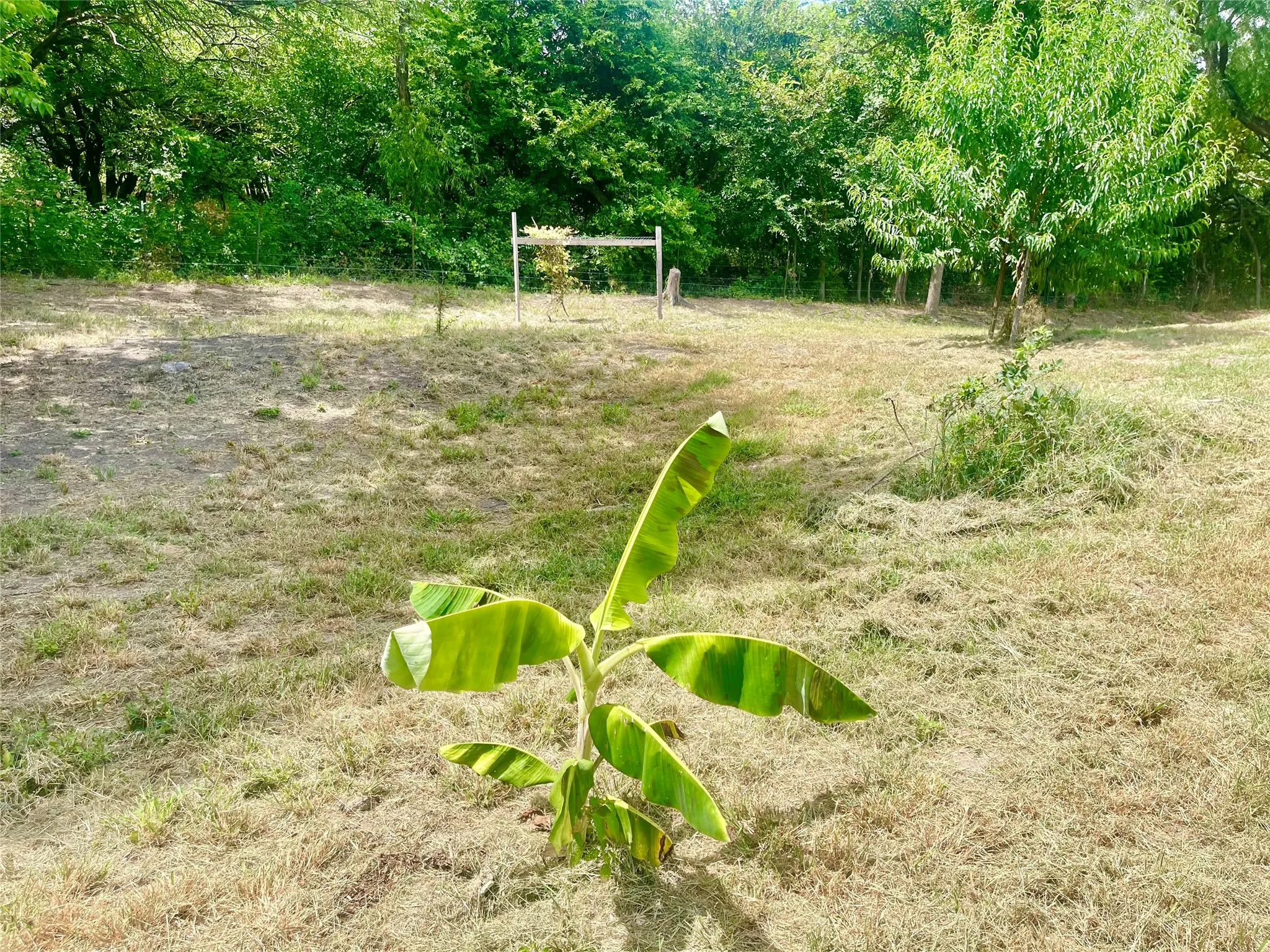Unimproved Land For Sale in Hill County , 223 Longview Creek Trail, Itasca, Texas 76055, 0, 0, Garage spaces, 0 Sqft, built in 0, Price $175,000, mls#21329036, Real Estate Agent in Itasca, Homes For Sale in Hill county, Homes For Sale in Itasca, Realtor in Itasca Texas, Real Estate Brokerage Independent Realty Texas, Luminita Cordes Realtor