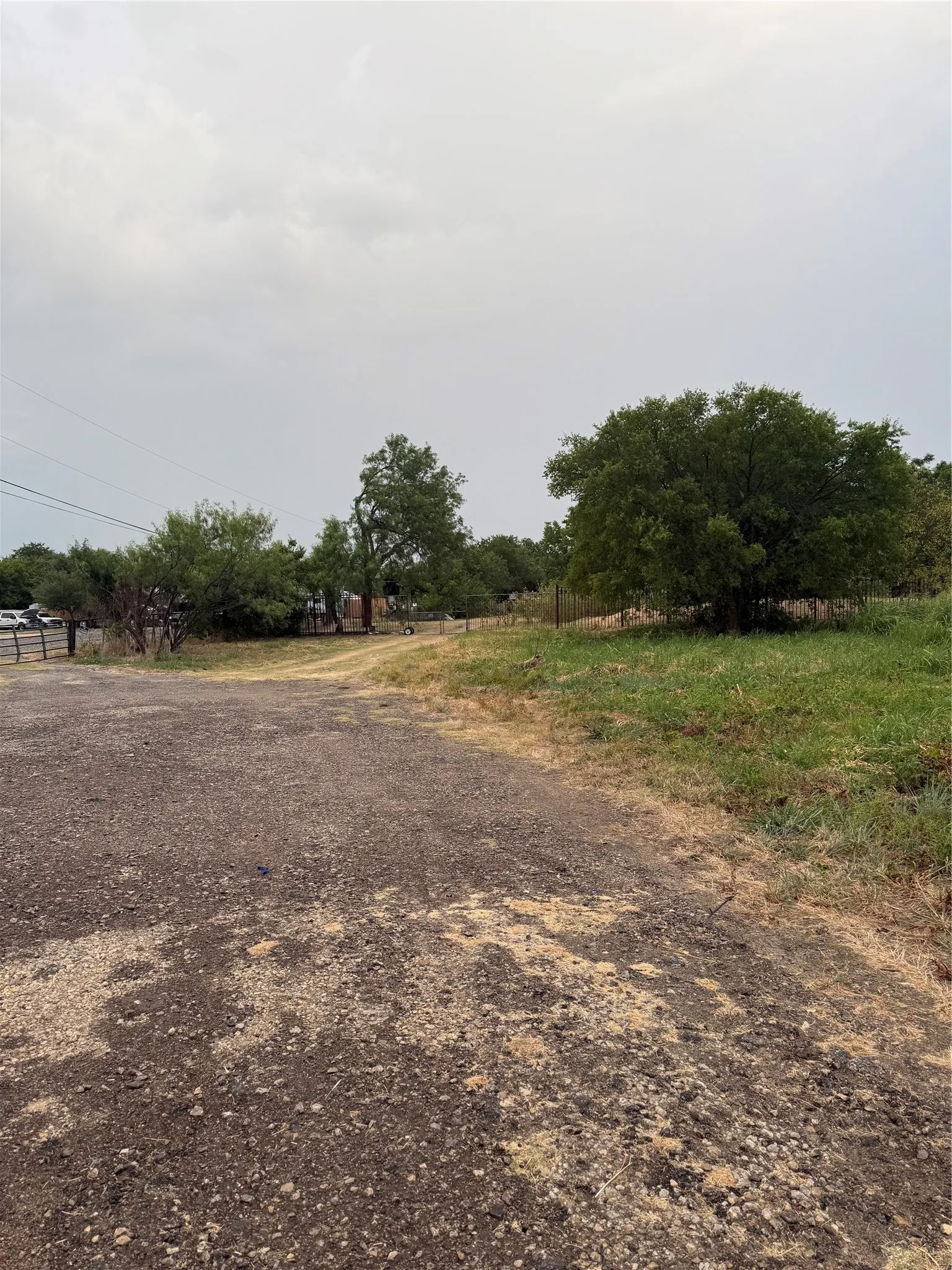 Gravel driveway with a grassy verge and mature trees