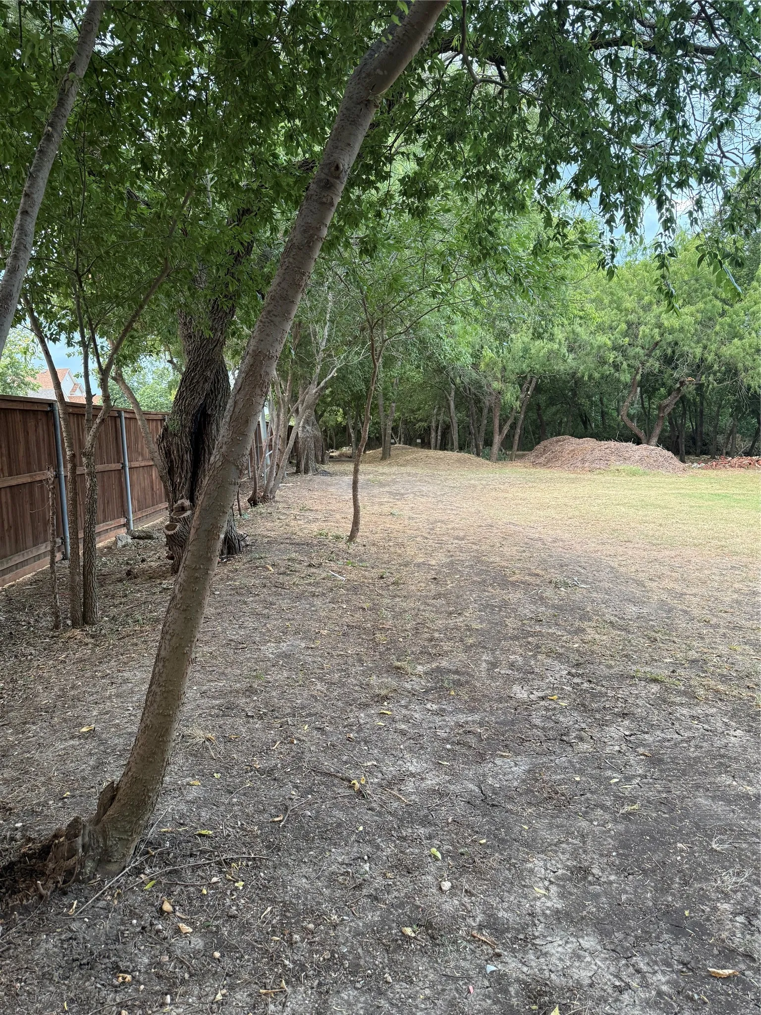 Expansive outdoor space featuring a lush tree line, a durable privacy fence, and natural ground cover