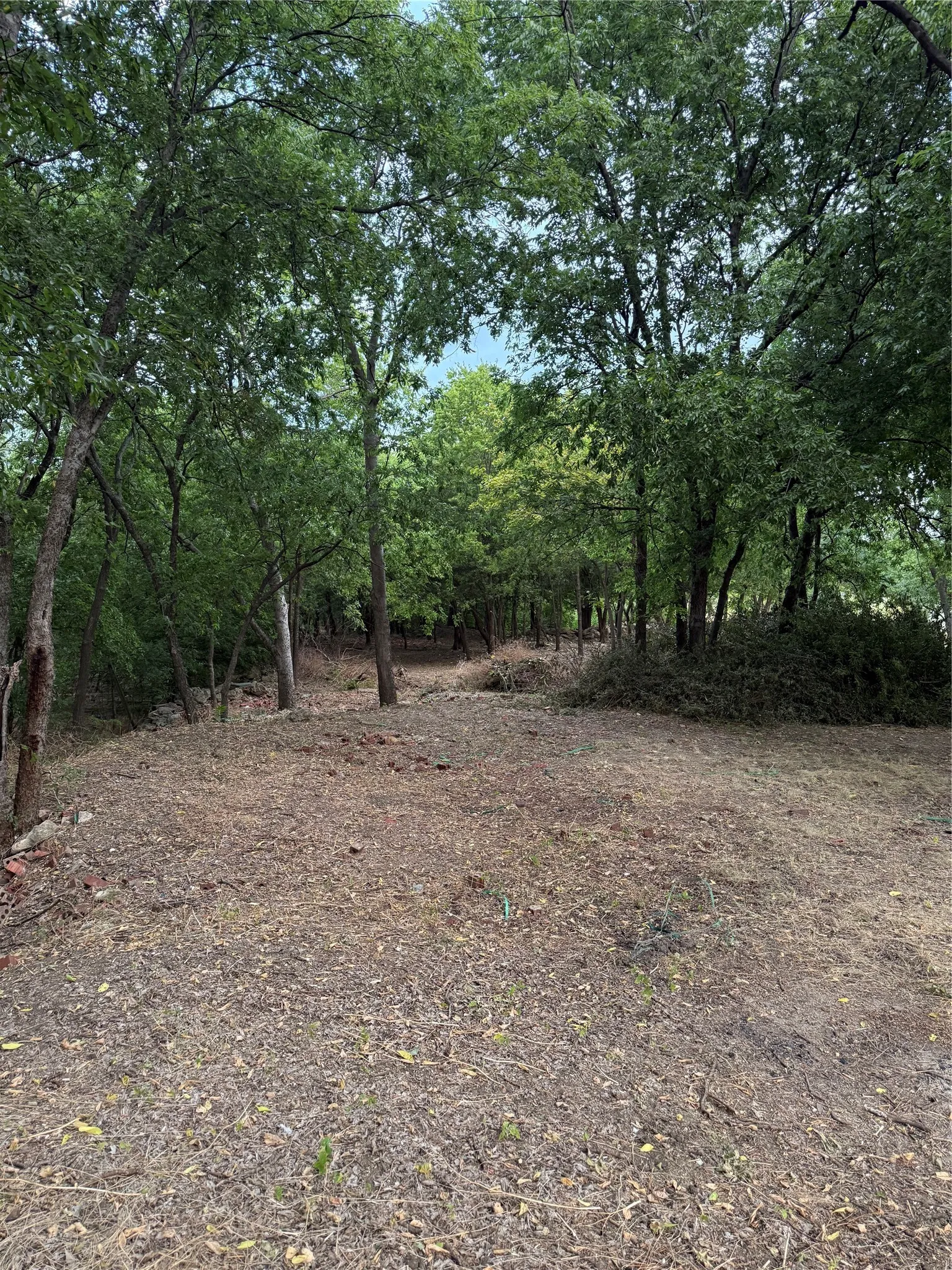 Cleared land parcel featuring mature trees, a natural wooded perimeter, and a level ground surface
